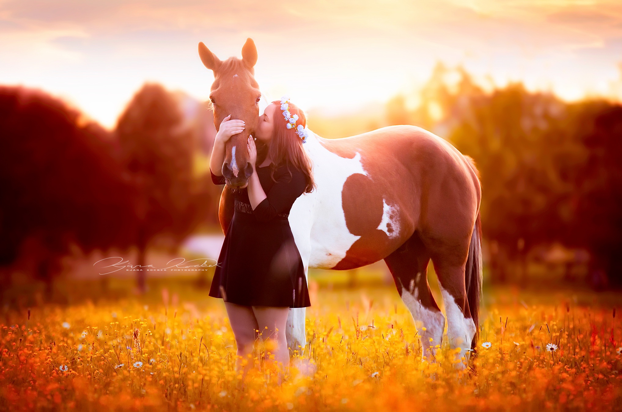 Обои лошадь, природа, девушка, платье, поле, конь, венок, солнечный свет, horse, nature, girl, dress, field, wreath, sunlight разрешение 2035x1350 Загрузить