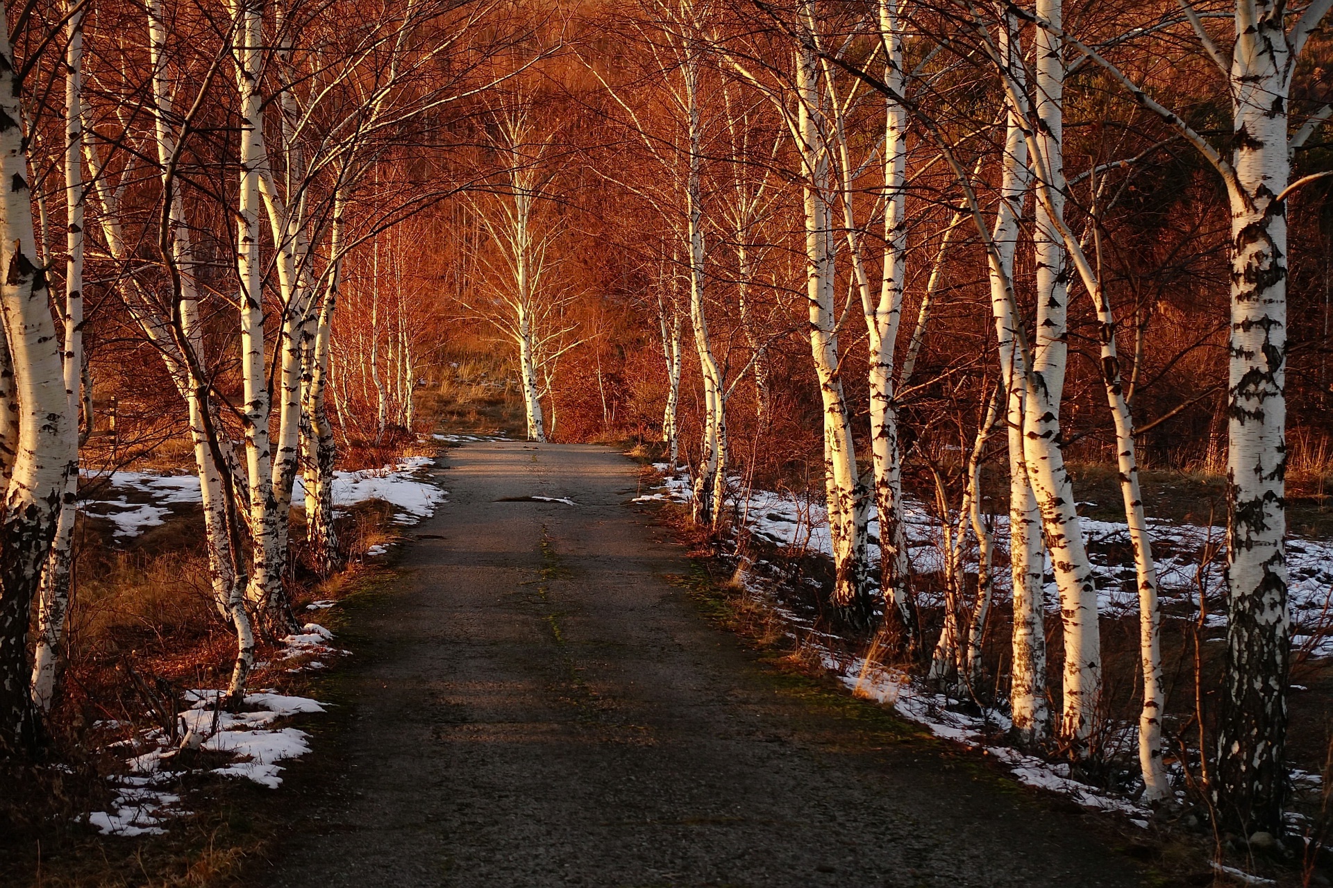 Обои дорога, деревья, снег, березы, весна, road, trees, snow, birch, spring разрешение 1920x1280 Загрузить