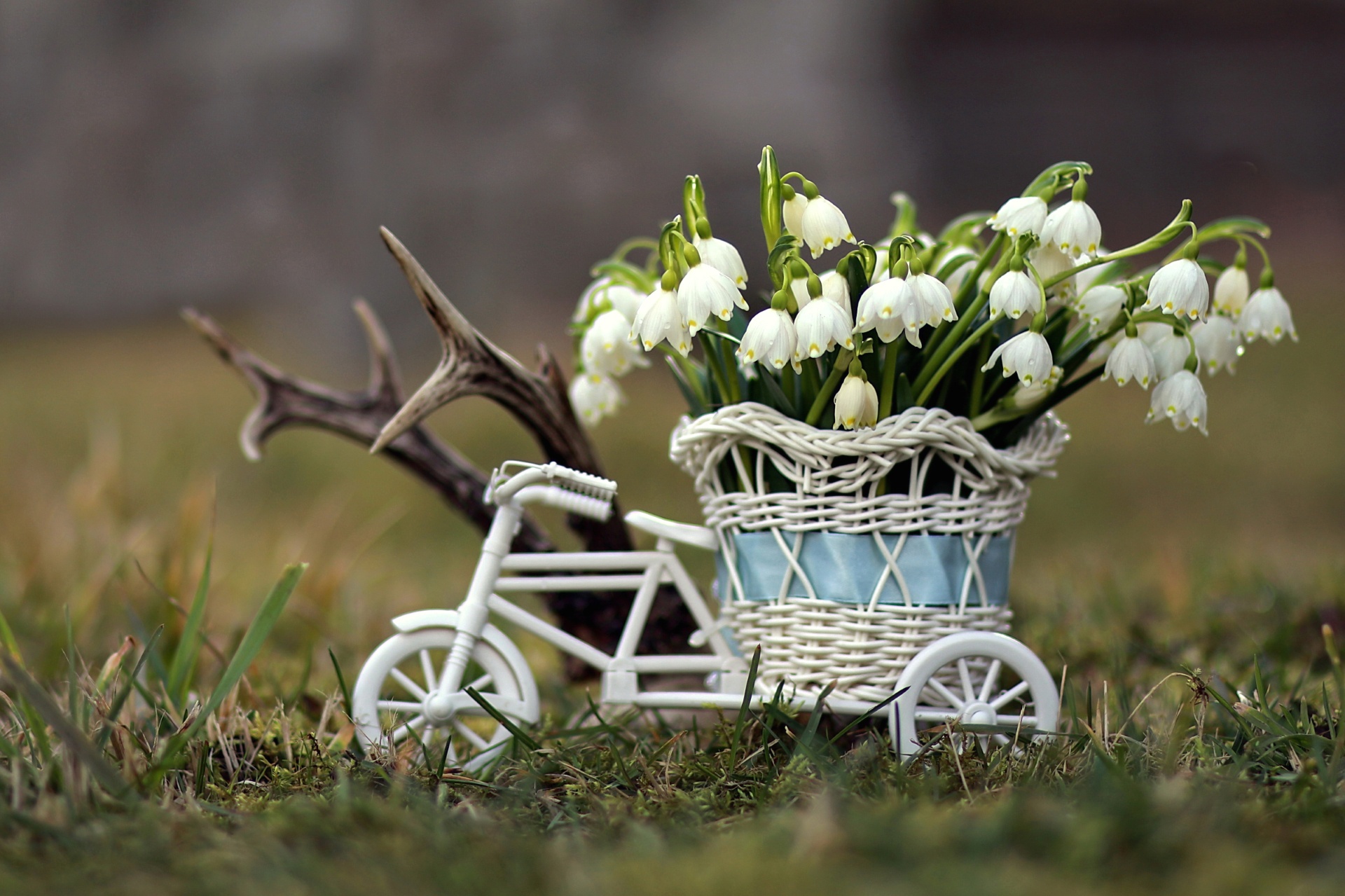 Обои цветы, весна, корзина, ваза, подснежники, первоцвет, белоцветник, flowers, spring, basket, vase, snowdrops, primrose, snowflake разрешение 1920x1279 Загрузить