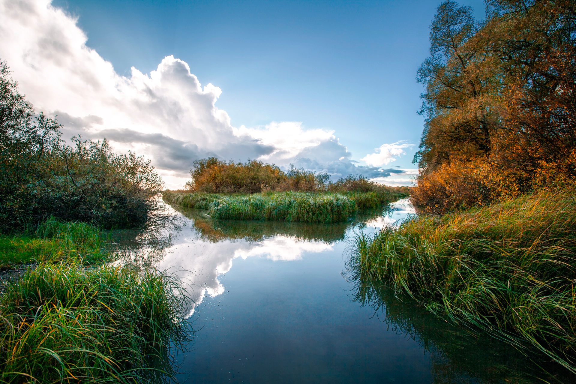 Обои небо, трава, облака, деревья, река, отражение, the sky, grass, clouds, trees, river, reflection разрешение 1920x1280 Загрузить