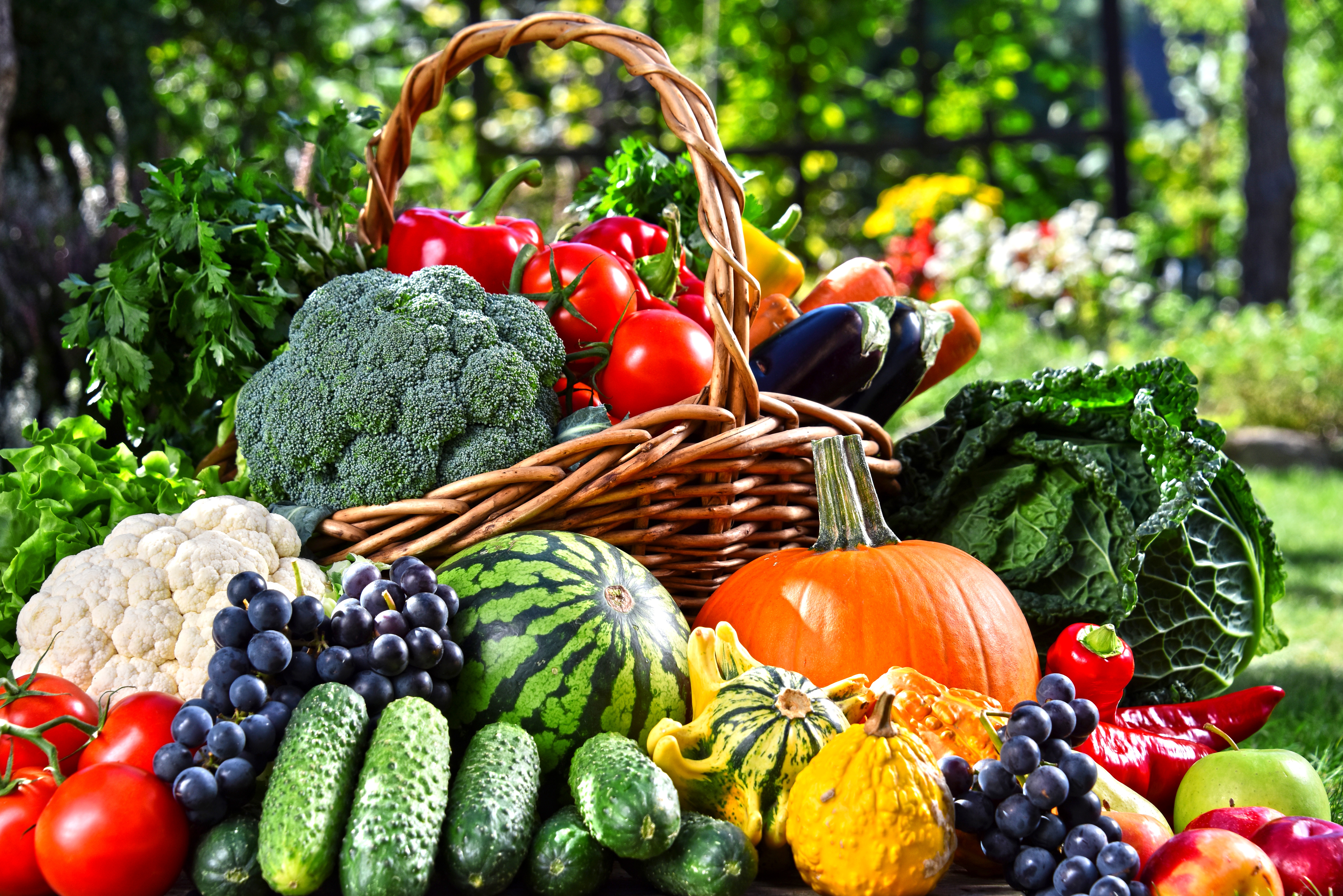 Обои зелень, помидоры, виноград, морковь, фрукты, тыква, баклажаны, яблоки, перец, сад, капуста, арбуз, брокколи, корзина, огурцы, овощи, greens, tomatoes, grapes, carrots, pumpkin, fruit, eggplant, apples, pepper, garden, cabbage, watermelon, broccoli, basket, cucumbers, vegetables разрешение 7360x4912 Загрузить