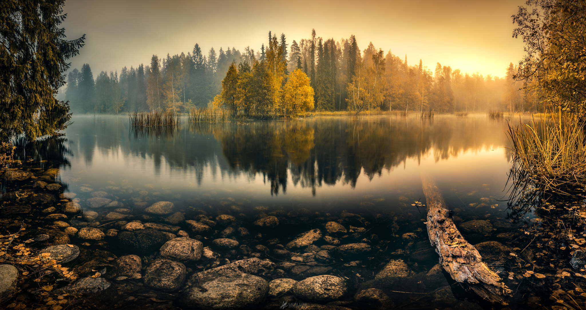 Обои деревья, озеро, лес, отражение, туман, осень, пруд, trees, lake, forest, reflection, fog, autumn, pond разрешение 2048x1083 Загрузить