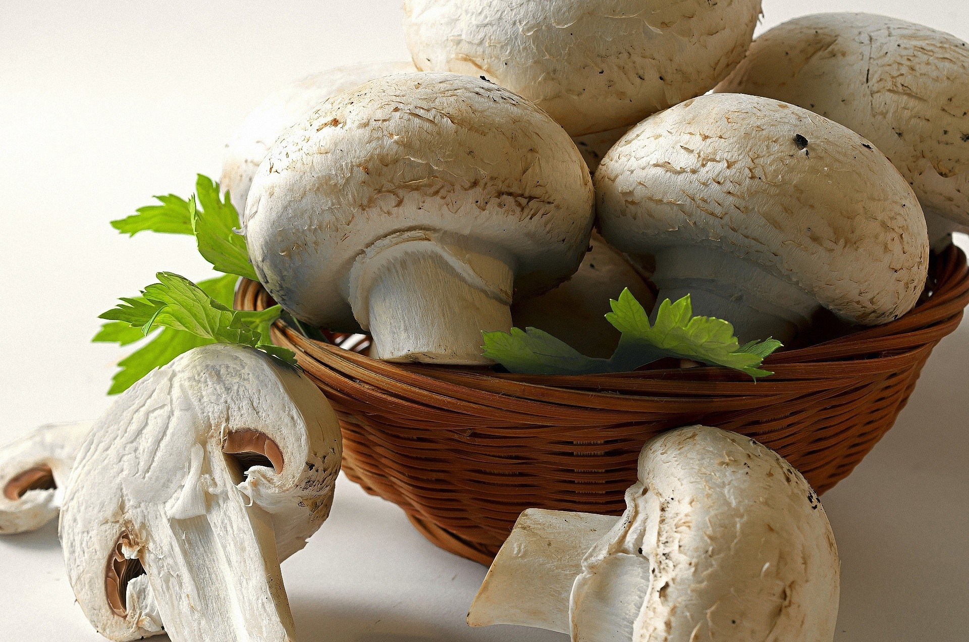 Обои зелень, грибы, белые, лукошко, шампиньоны, greens, mushrooms, white, basket разрешение 1920x1272 Загрузить