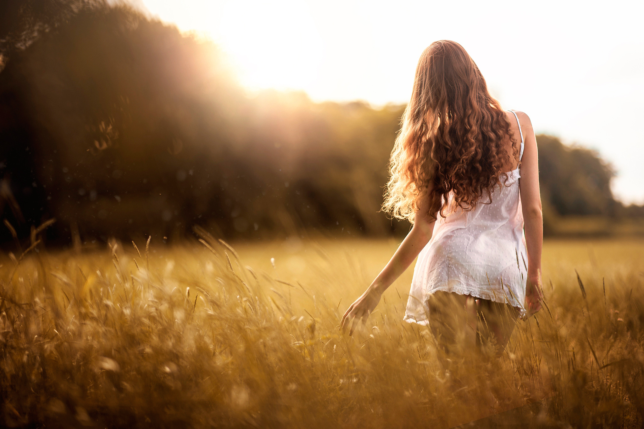 Обои небо, трава, девушка, платье, поле, лето, спина, волосы, the sky, grass, girl, dress, field, summer, back, hair разрешение 2048x1367 Загрузить