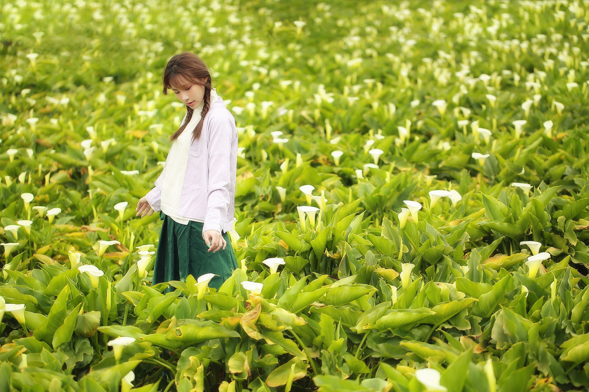 Обои цветы, поле, лето, лицо, прогулка, азиатка, косички, flowers, field, summer, face, walk, asian, braids разрешение 2048x1365 Загрузить