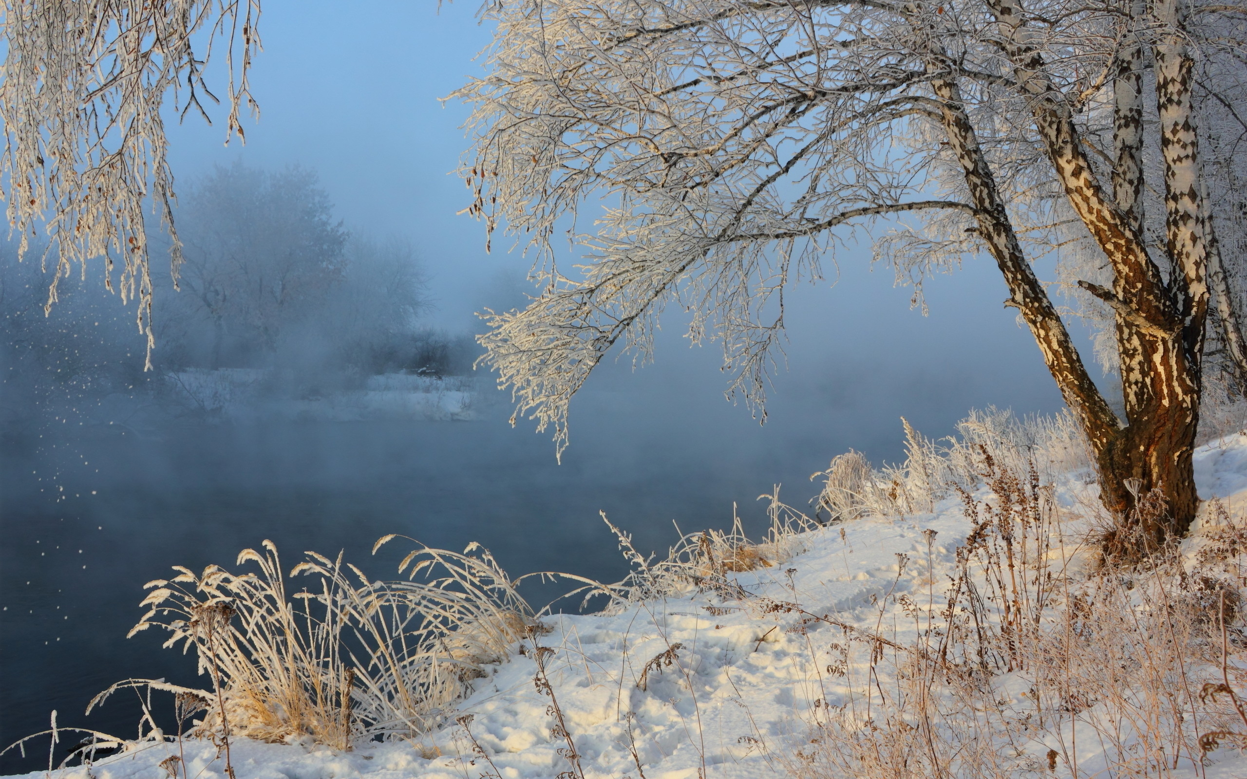 Утро природа февраль. Февраль природа. Зимний пейзаж. Ранняя зима. Зимняя река.