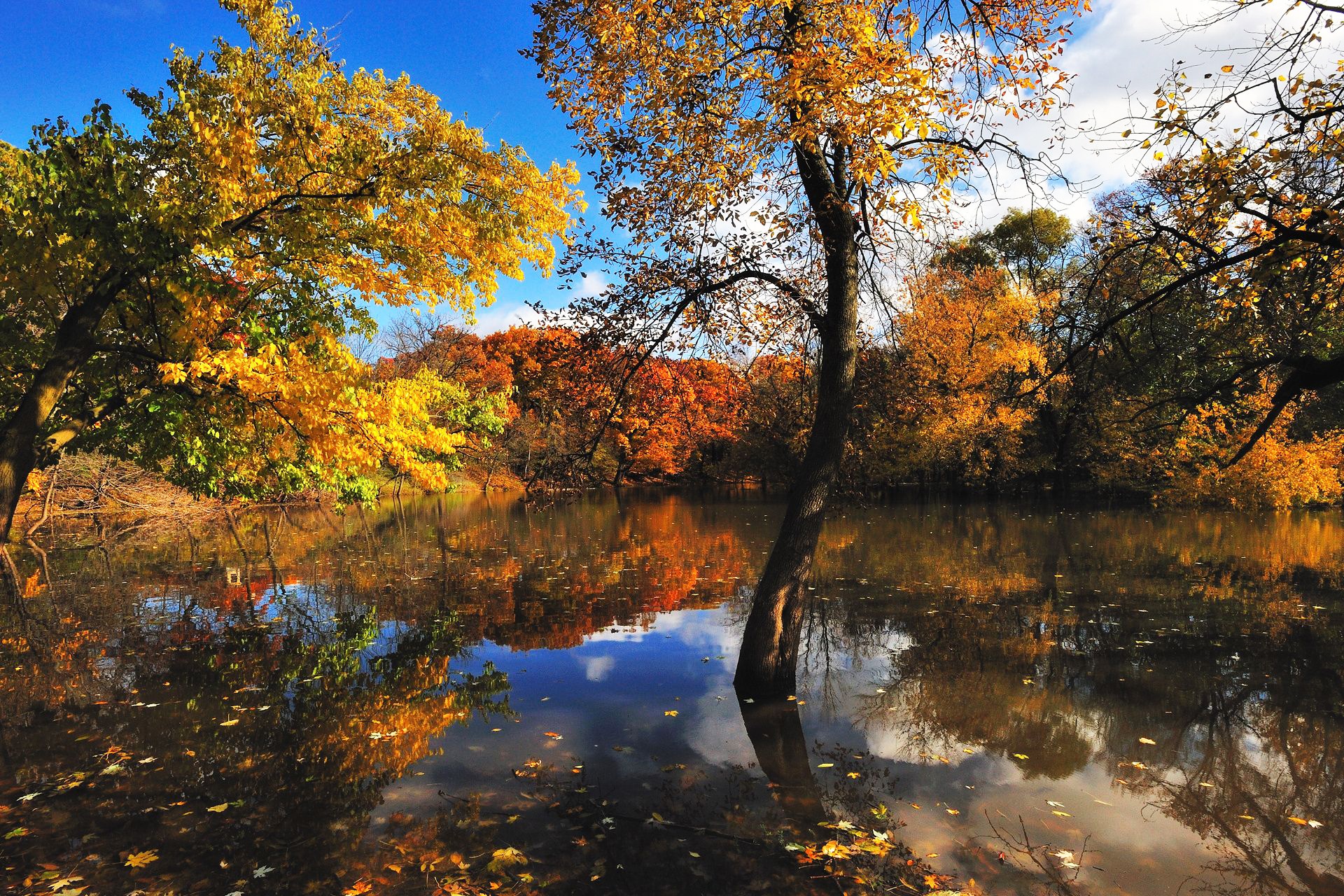 Обои деревья, вода, отражение, листва, осень, trees, water, reflection, foliage, autumn разрешение 1920x1280 Загрузить