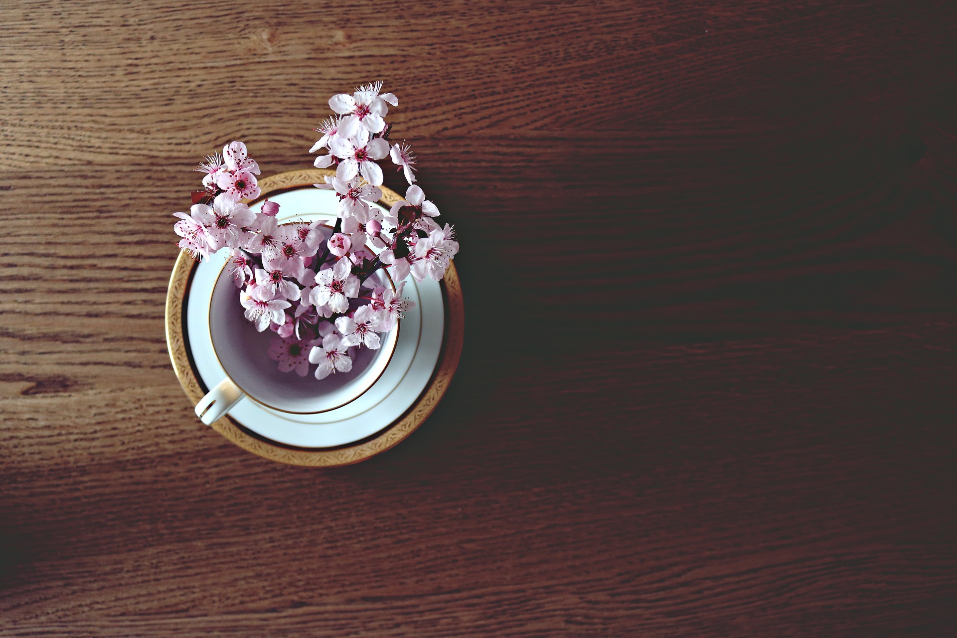 Обои настроение, стол, весна, вишня, чашка, веточки, mood, table, spring, cherry, cup, twigs разрешение 1920x1280 Загрузить