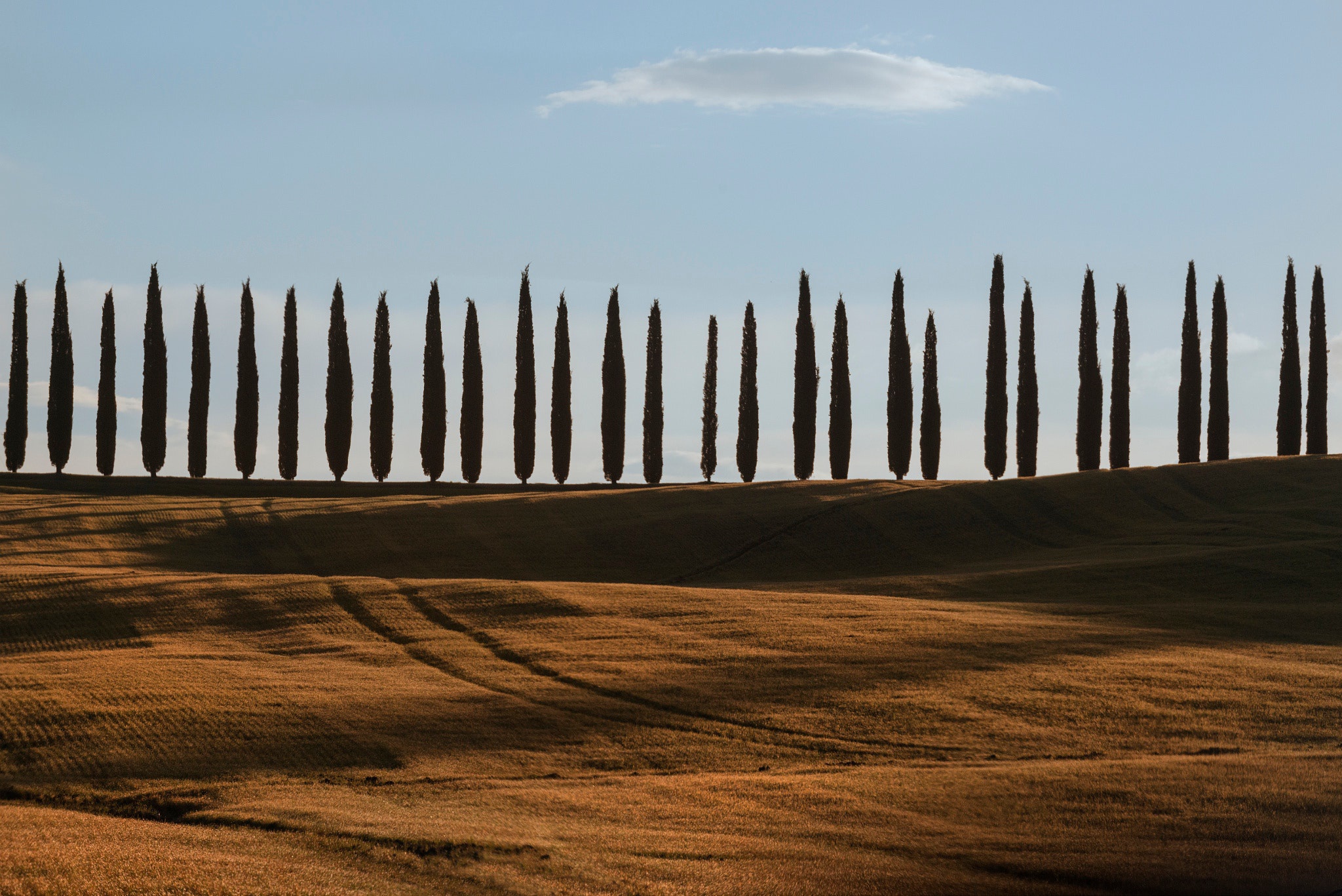 Обои небо, деревья, холмы, поля, италия, тоскана, the sky, trees, hills, field, italy, tuscany разрешение 2048x1367 Загрузить