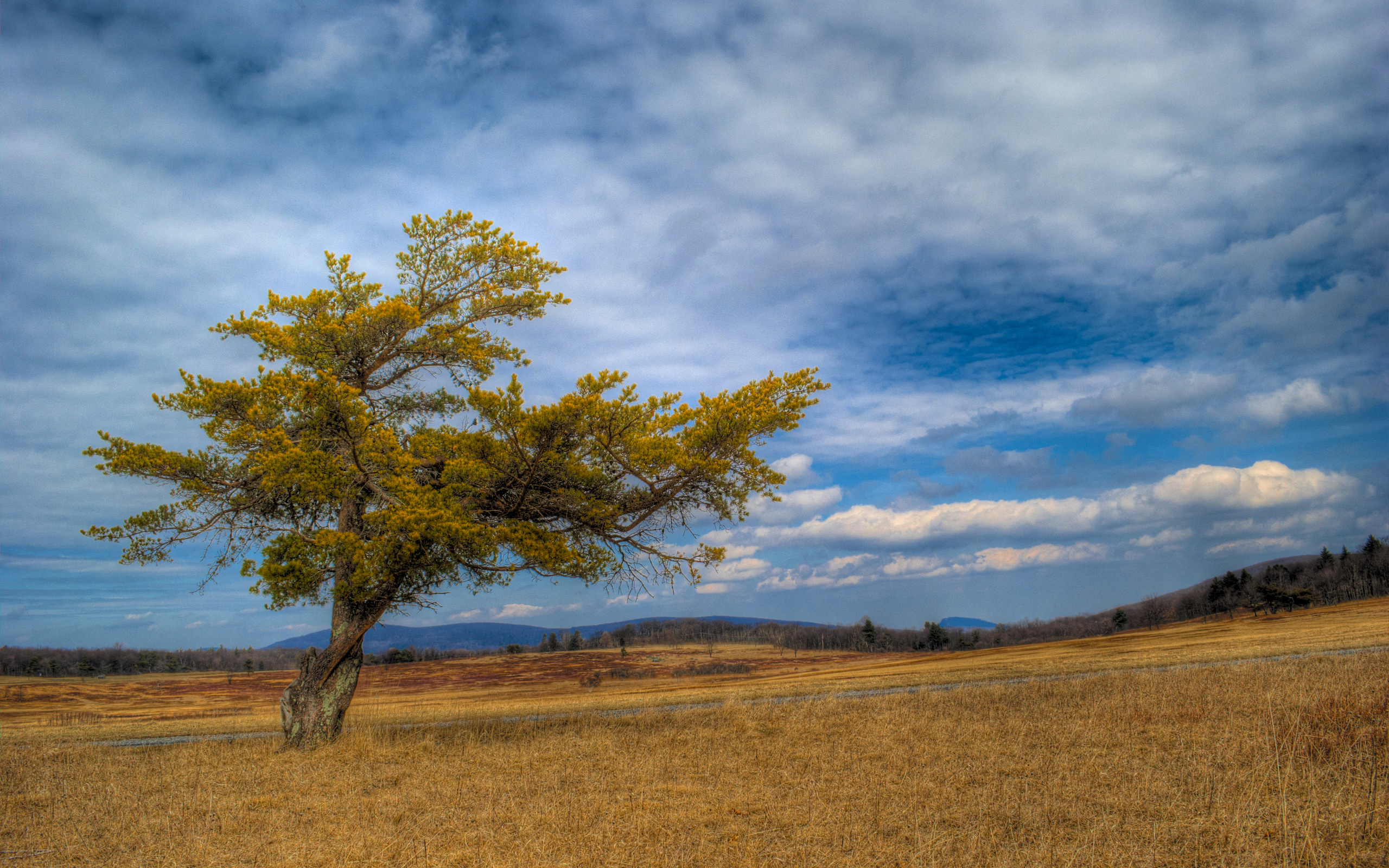 природа деревья облака трава осень скачать