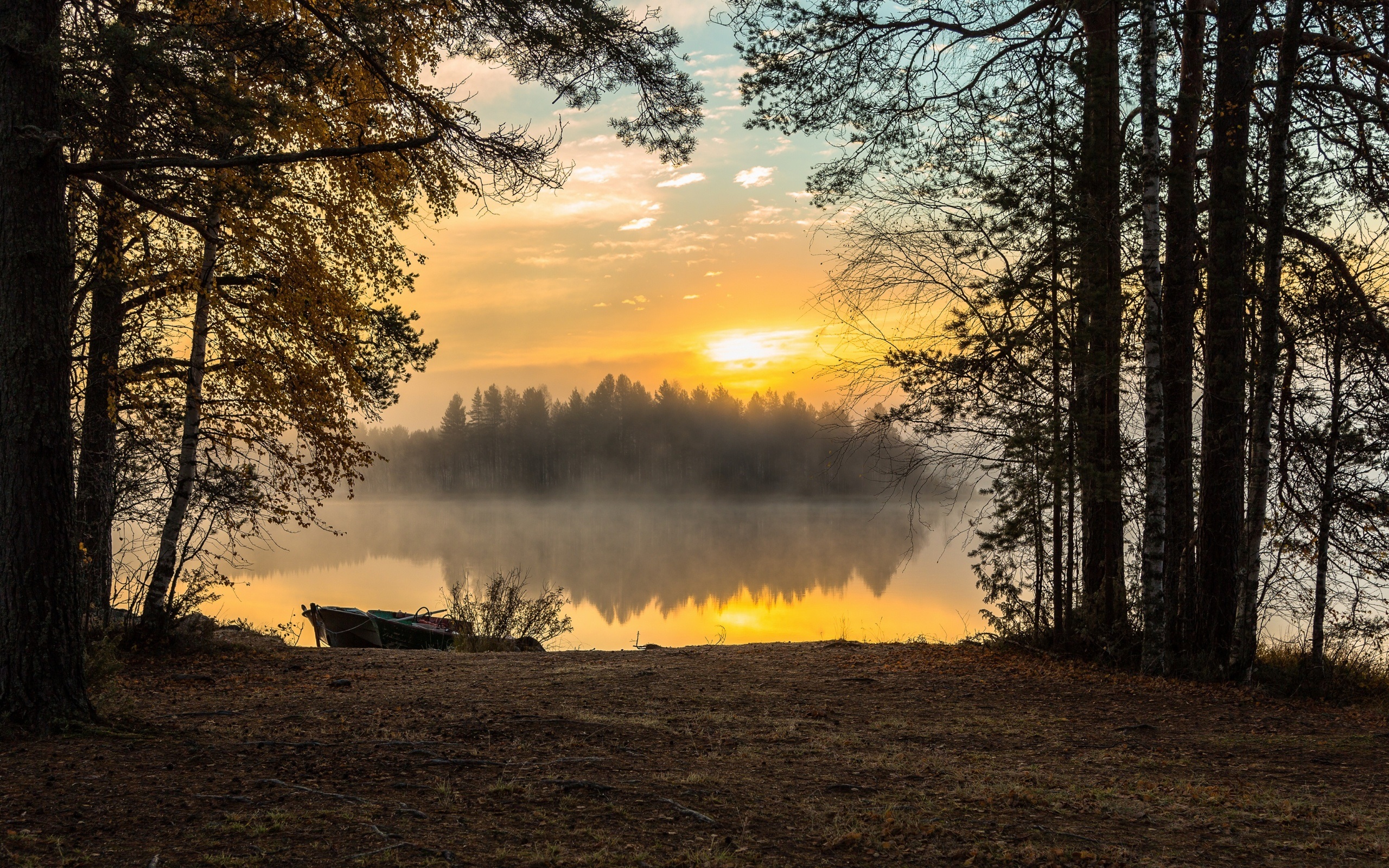 Пейзаж утро. Рассвет в лесу. Рассвет на озере. Раннее утро в лесу. Озеро туман рассвет.