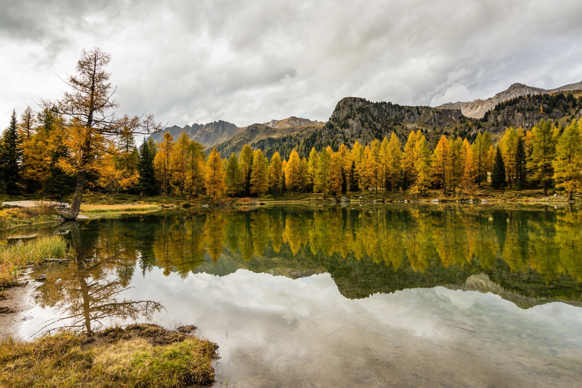 осень горы лес отражение autumn mountains forest reflection загрузить