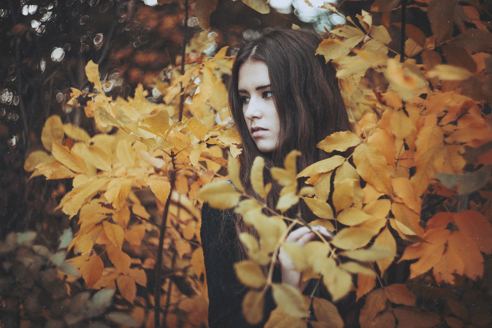 девушка листья осень взгляд лицо глаза скачать