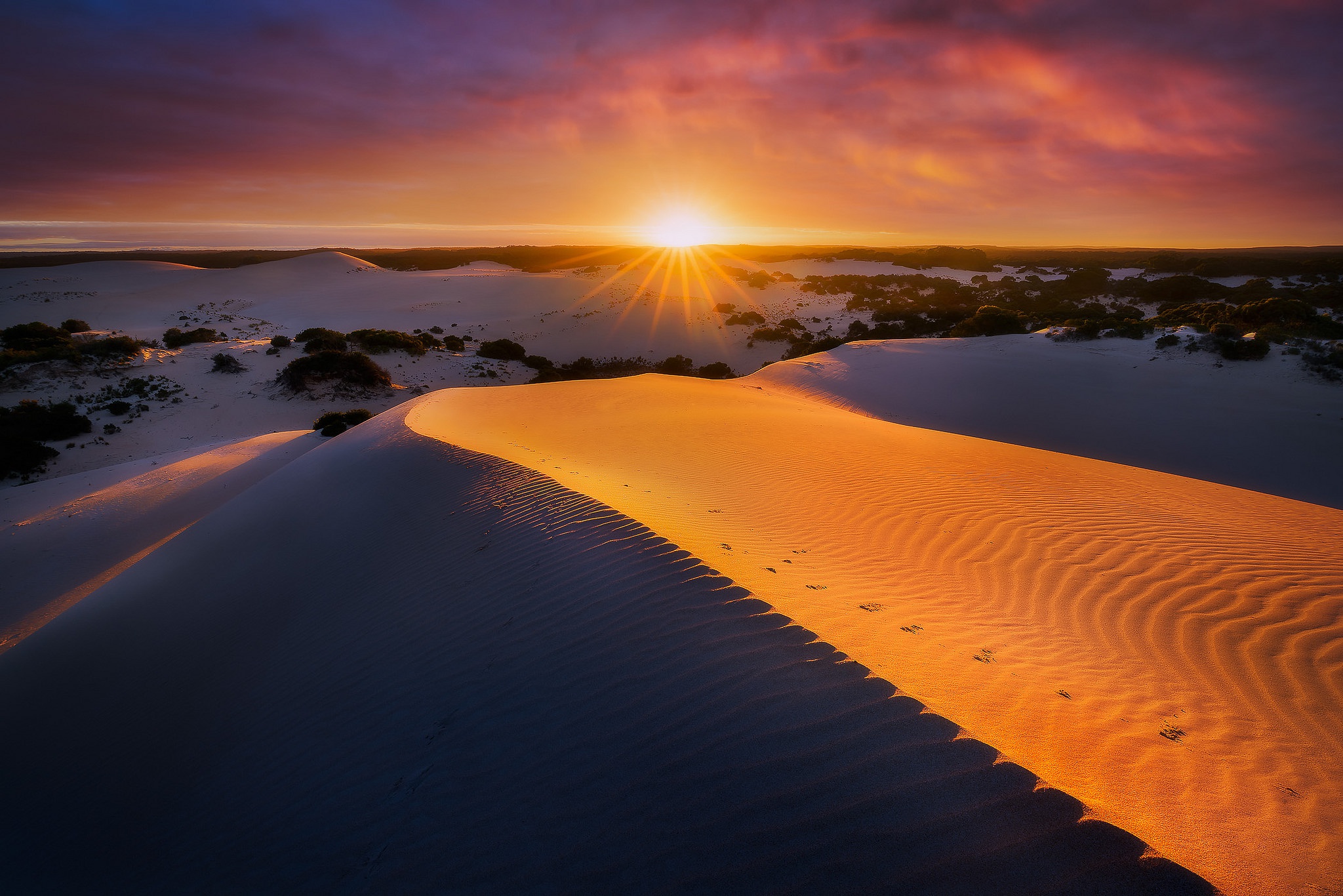 Австр. Дюны в Австралии. Континентальные дюны Австралия. Рассвет в пустыне. Пустыня сахара закат.