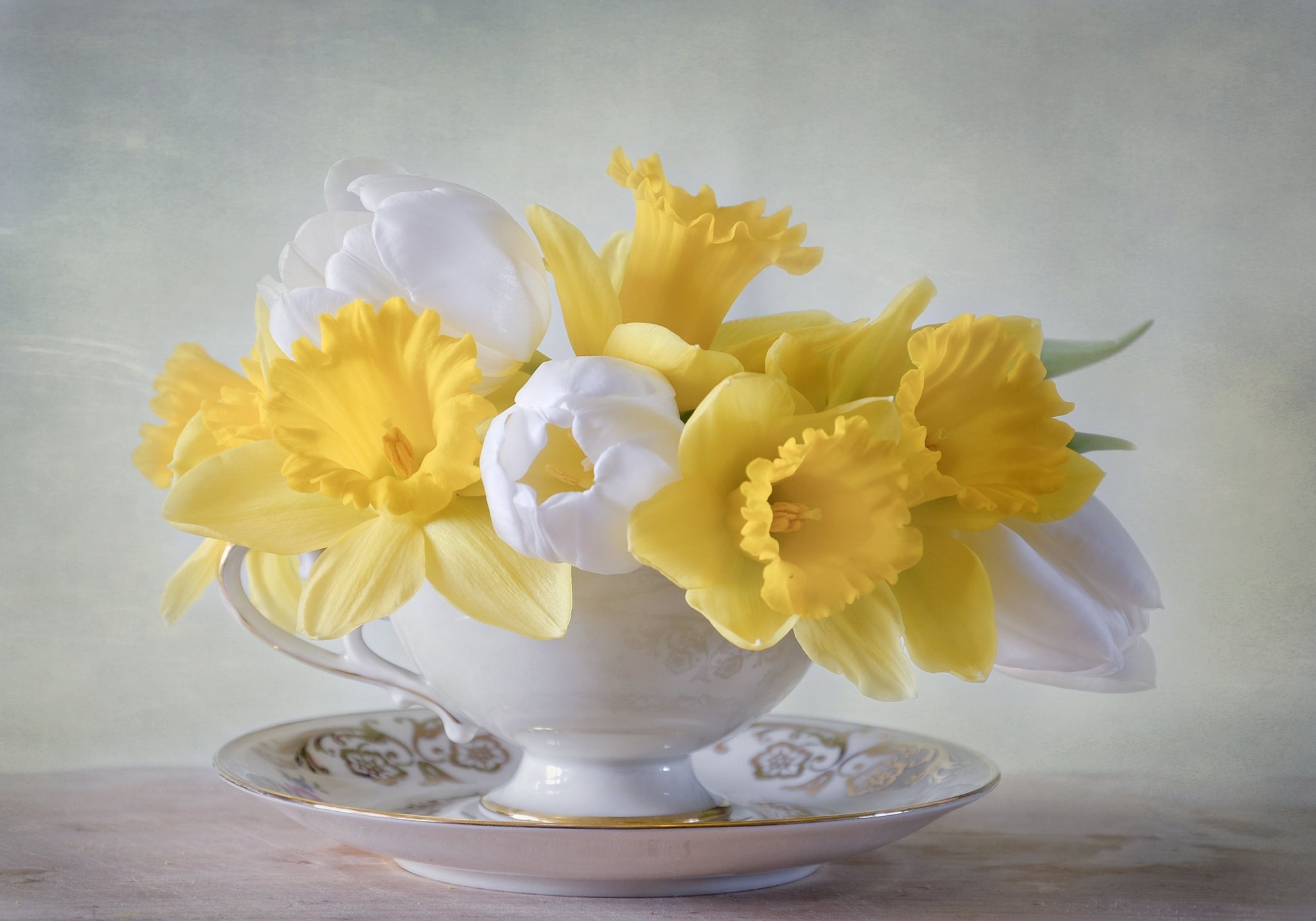 Обои цветы, блюдце, букет, тюльпаны, чашка, нарциссы, flowers, saucer, bouquet, tulips, cup, daffodils разрешение 2048x1434 Загрузить