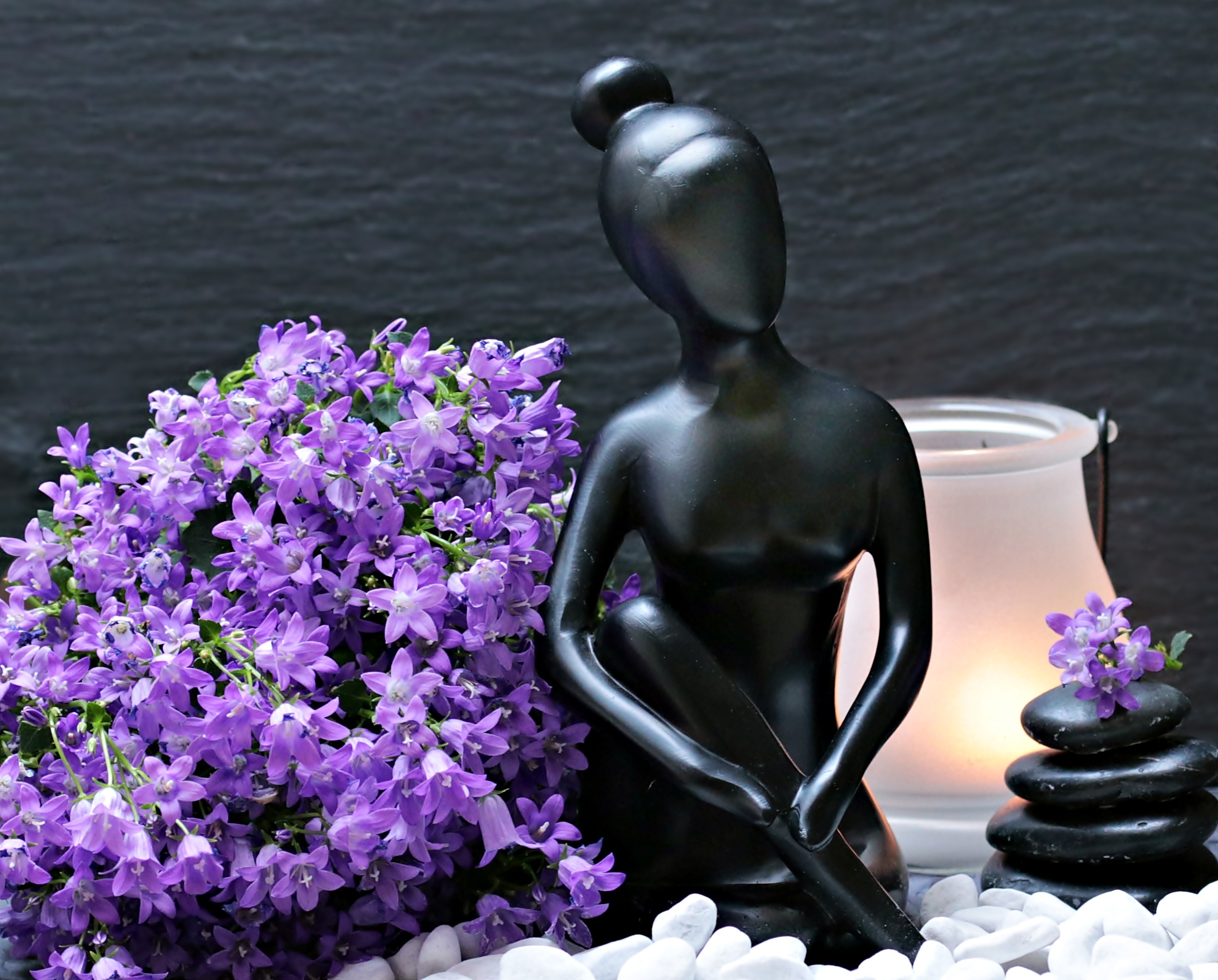 Обои цветы, камни, лампа, статуэтка, колокольчики, женщина, фигурка, flowers, stones, lamp, figurine, bells, woman, figure разрешение 2993x2410 Загрузить