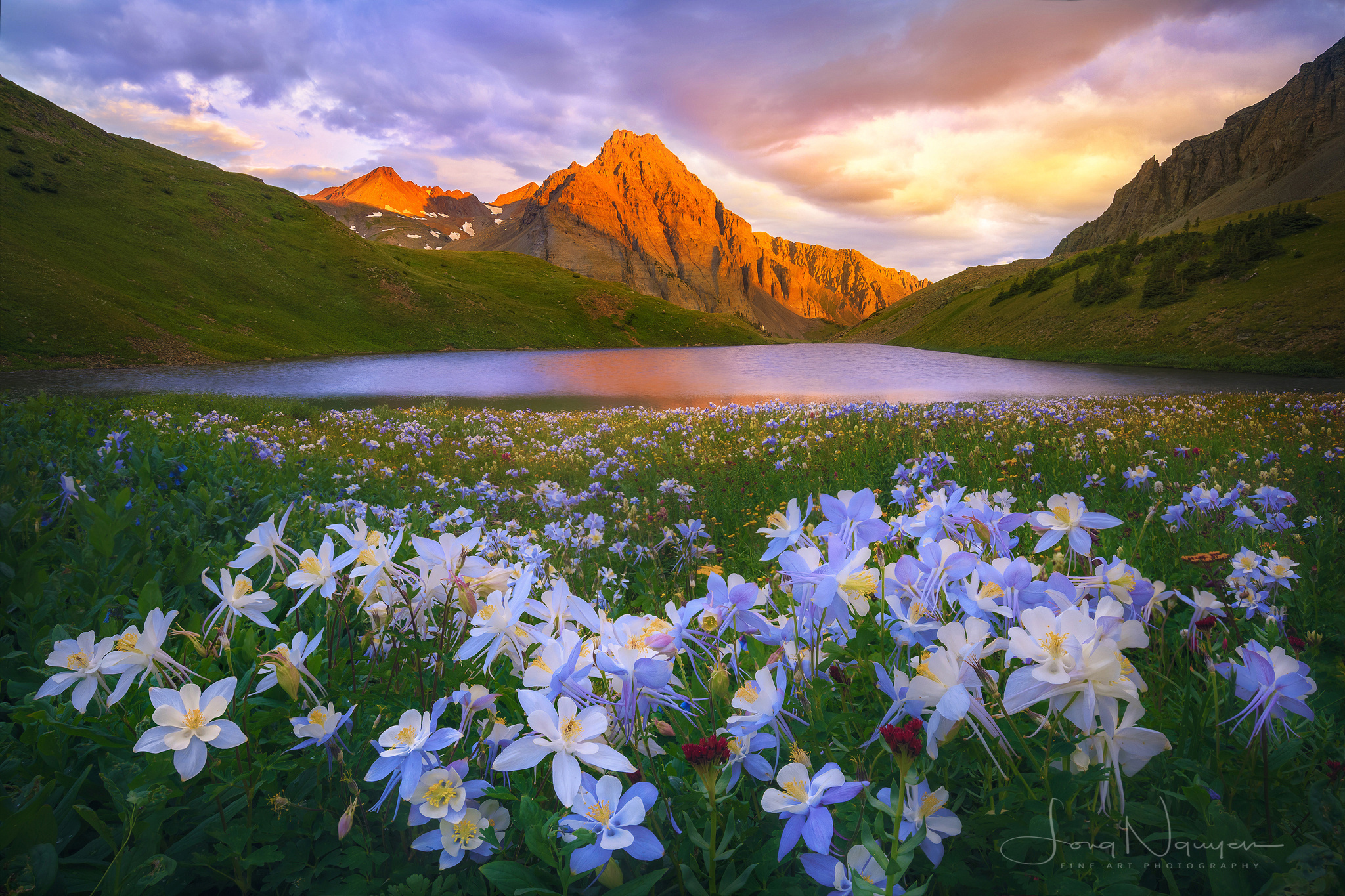 Обои цветы, озеро, горы, природа, пейзаж, flowers, lake, mountains, nature, landscape разрешение 2048x1365 Загрузить
