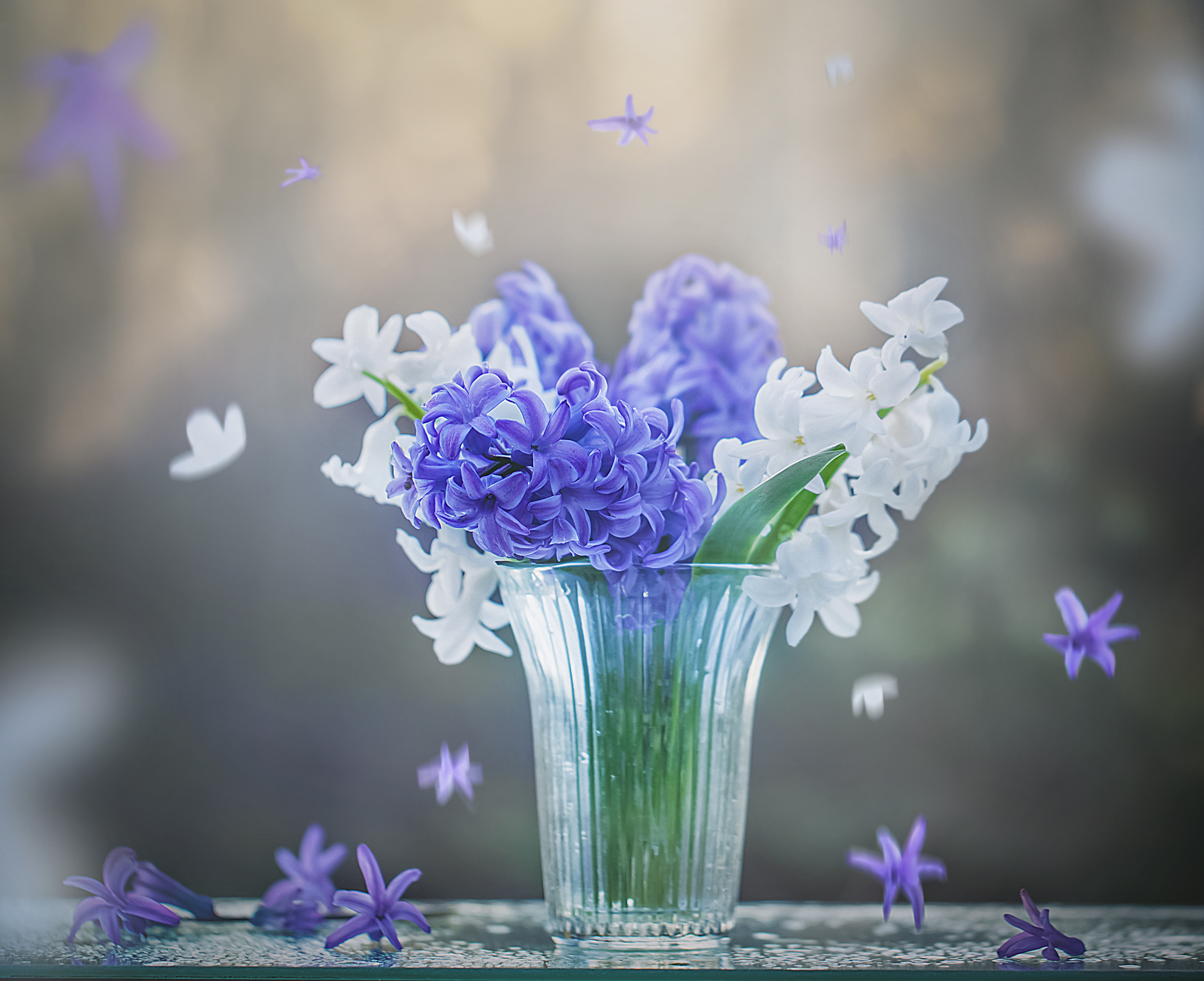 Обои цветы, весна, стакан, гиацинты, flowers, spring, glass, hyacinths разрешение 2400x1955 Загрузить