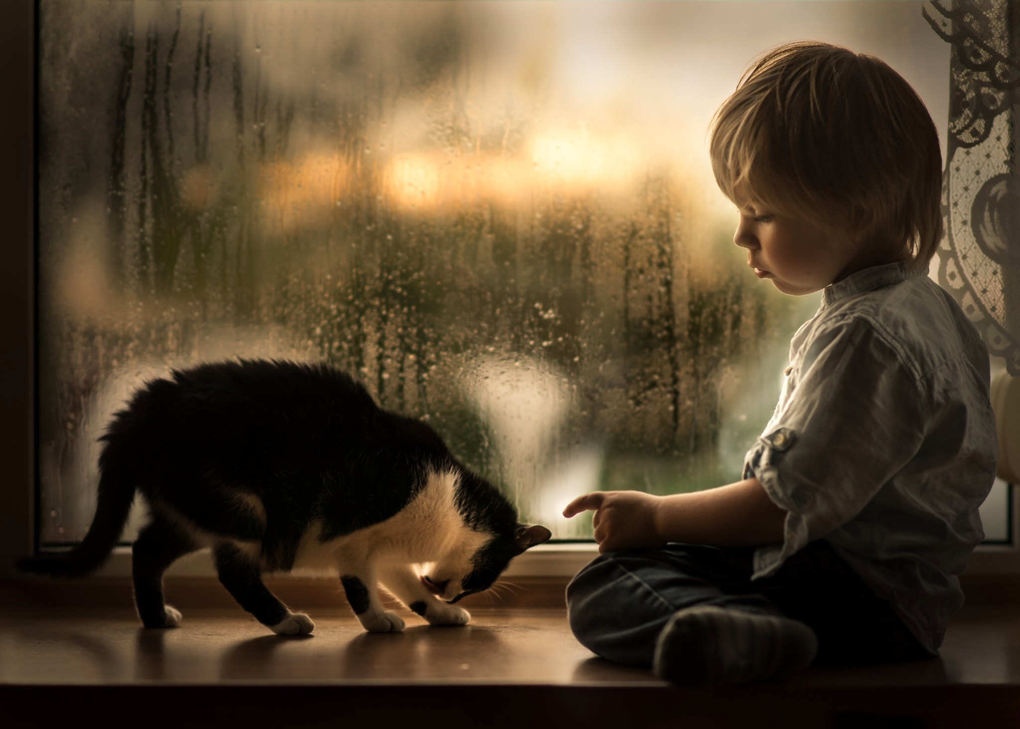 Доброта 33. Мальчик с котом у окна. Грустный мальчик. Кот для детей.