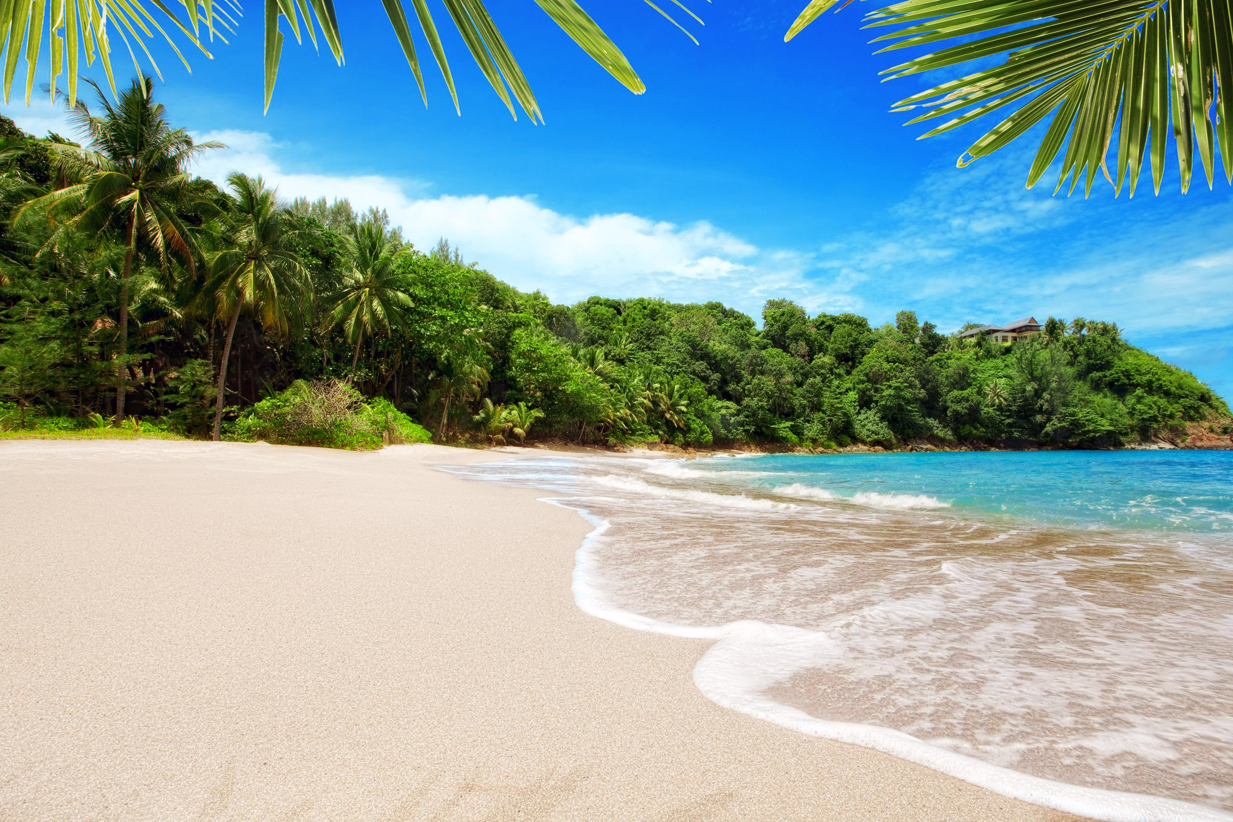 Обои море, пляж, пальмы, отдых, тропики, sea, beach, palm trees, stay, tropics разрешение 2508x1672 Загрузить