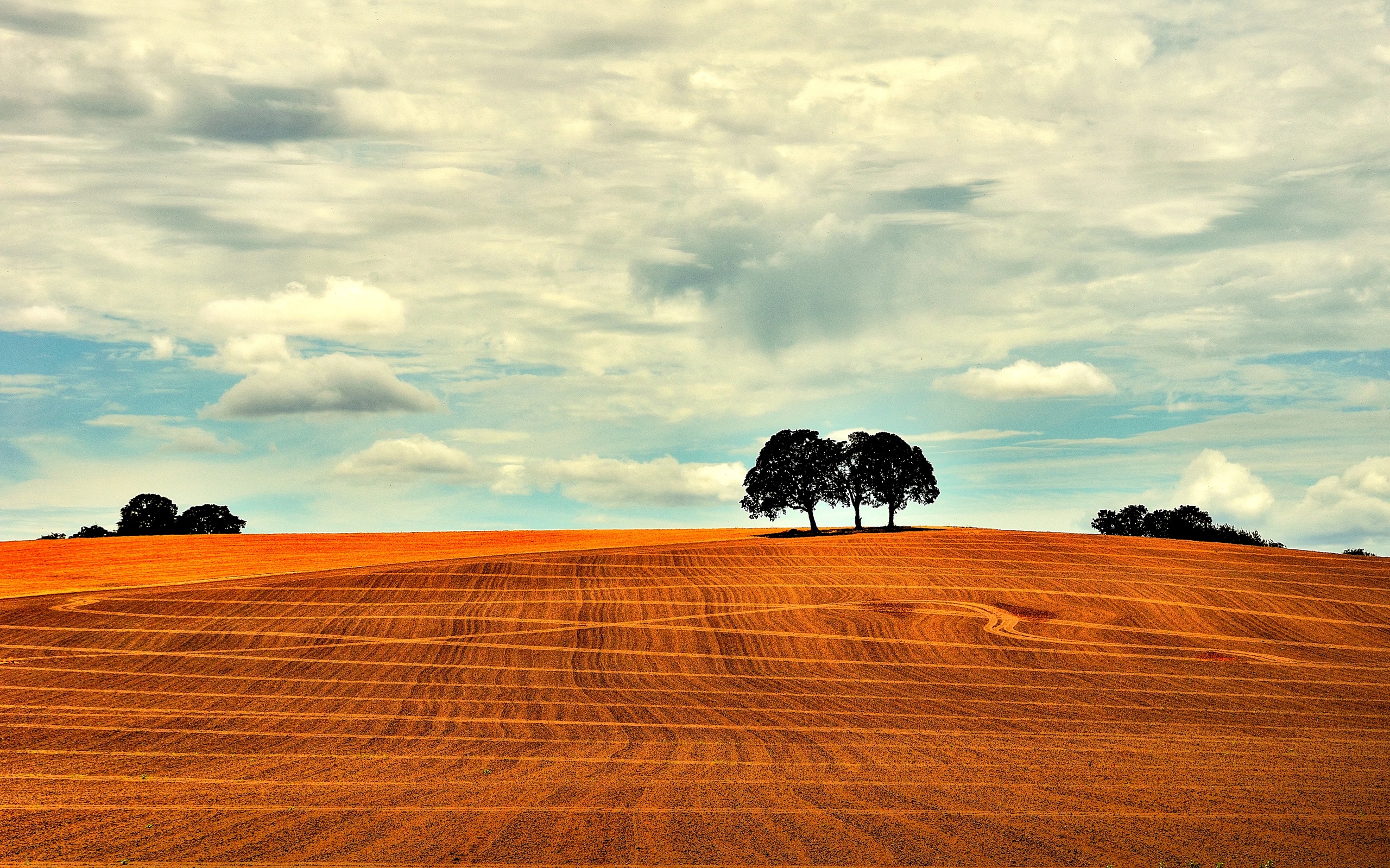 Обои небо, облака, деревья, пейзаж, поле, the sky, clouds, trees, landscape, field разрешение 2560x1599 Загрузить