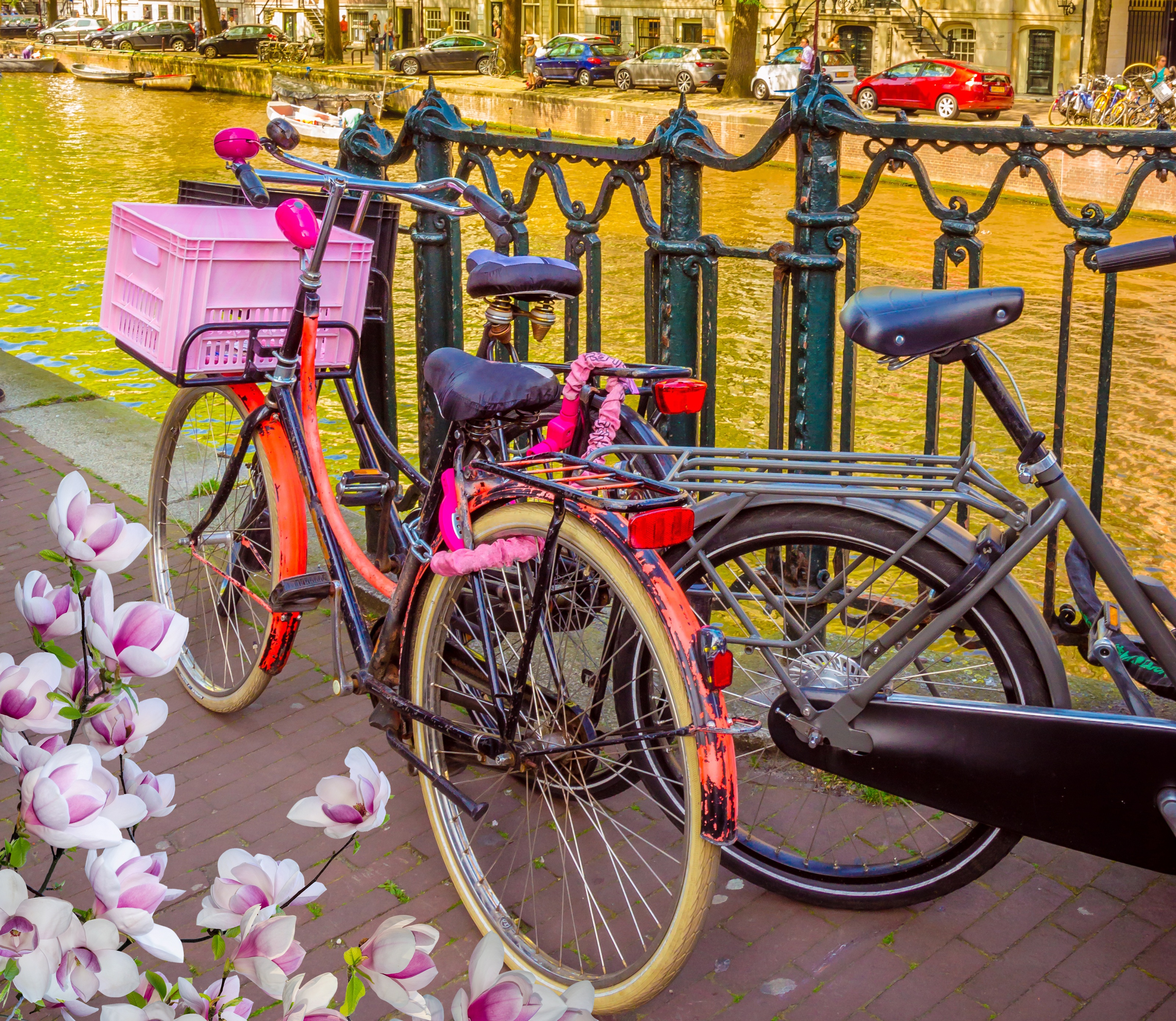 Обои цветы, река, цветение, весна, велосипед, нидерланды, амстердам, flowers, river, flowering, spring, bike, netherlands, amsterdam разрешение 3200x2780 Загрузить