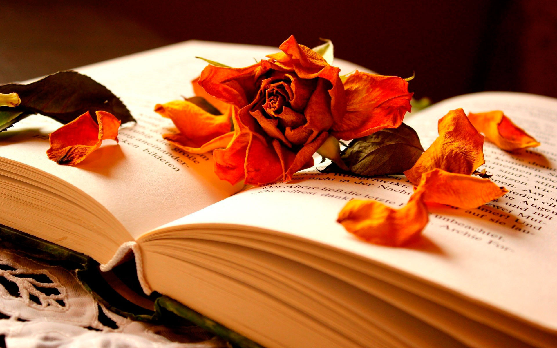 любовь цветок роза книга бесплатно