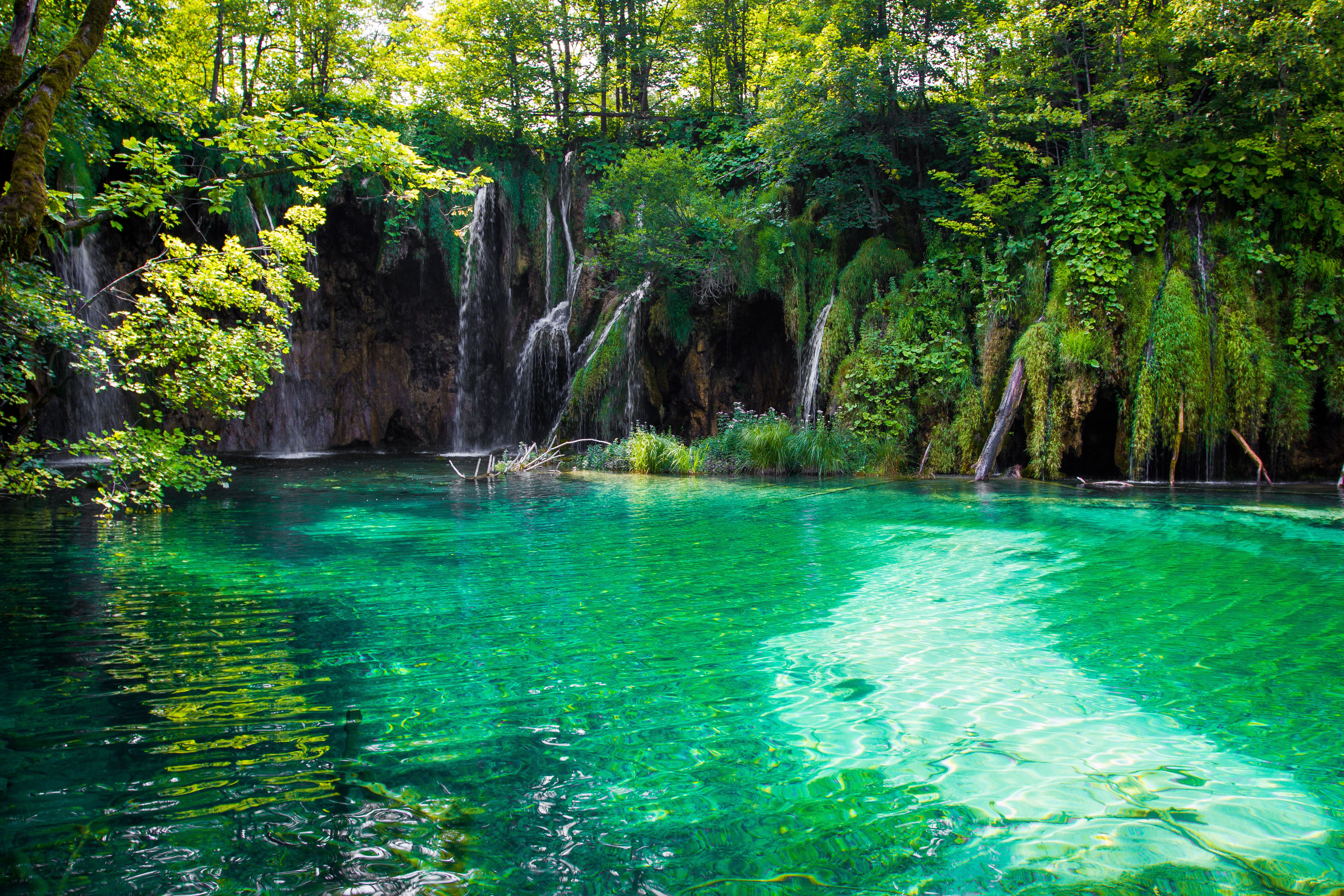 Озера водопад лес. Плитвицкие озера. Плитвицкие озера леса. Плитвицкие озера хвойный лес. Плитвицкие озёра Хорватия фотообои.