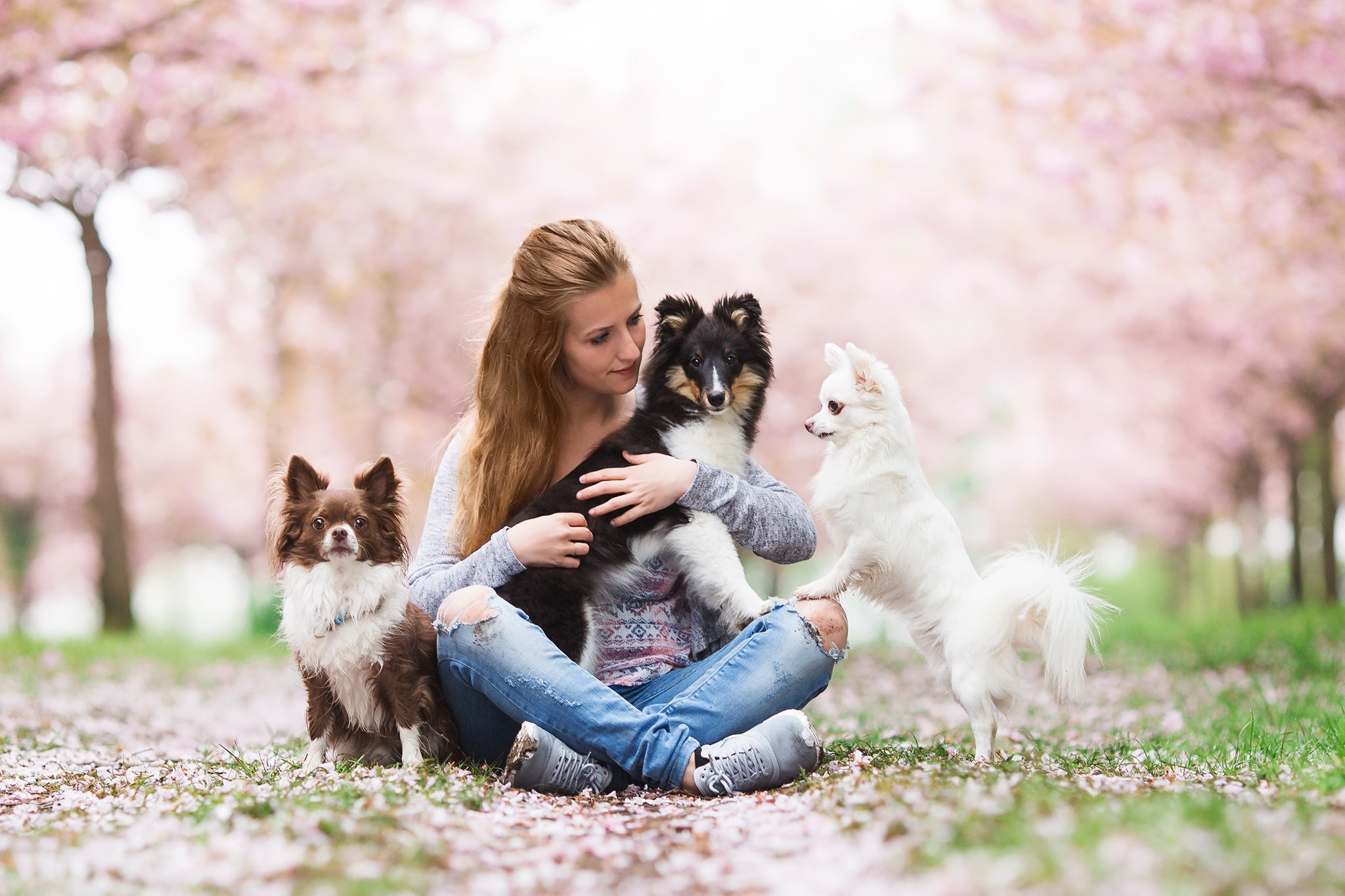 Картинка девушки с собакой. Фотосессия с собакой. Девушка с собакой фотосессия. Фотосессия с собакой на природе. Красивые собаки девочки.