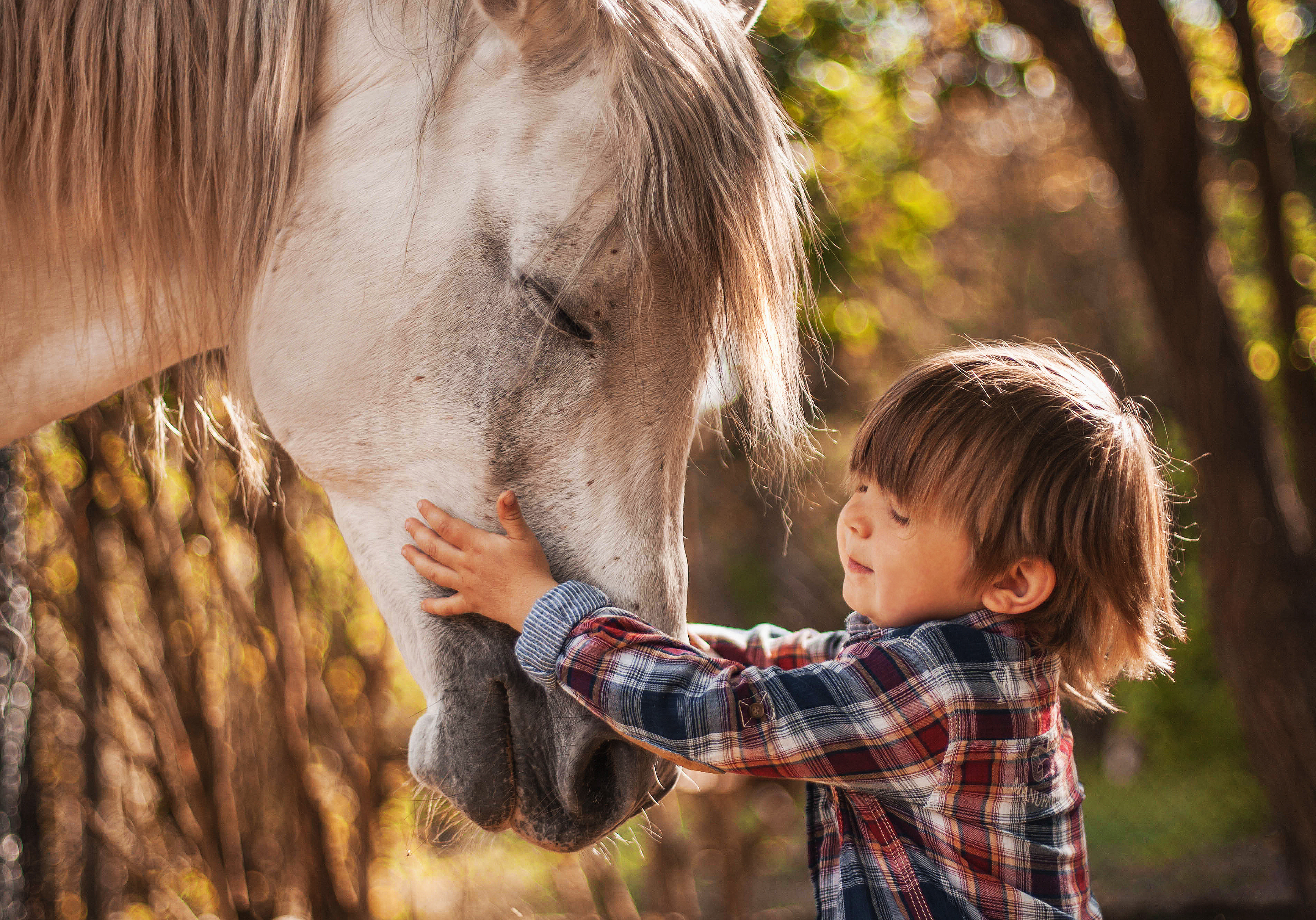 Наблюдая за жизнью животных дошкольники. Лошадь для детей. Детская фотосессия с лошадкой. Мальчик на лошади. Фотосессия с лошадьми дети.