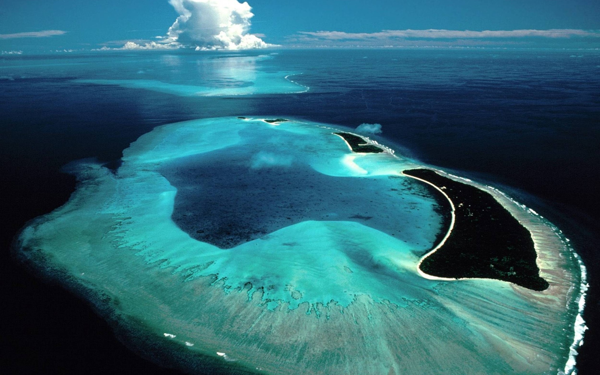 Обои море, суша, остров, мальдивы, рифы, территория, sea, drying, island, the maldives, reefs, territory разрешение 1920x1200 Загрузить