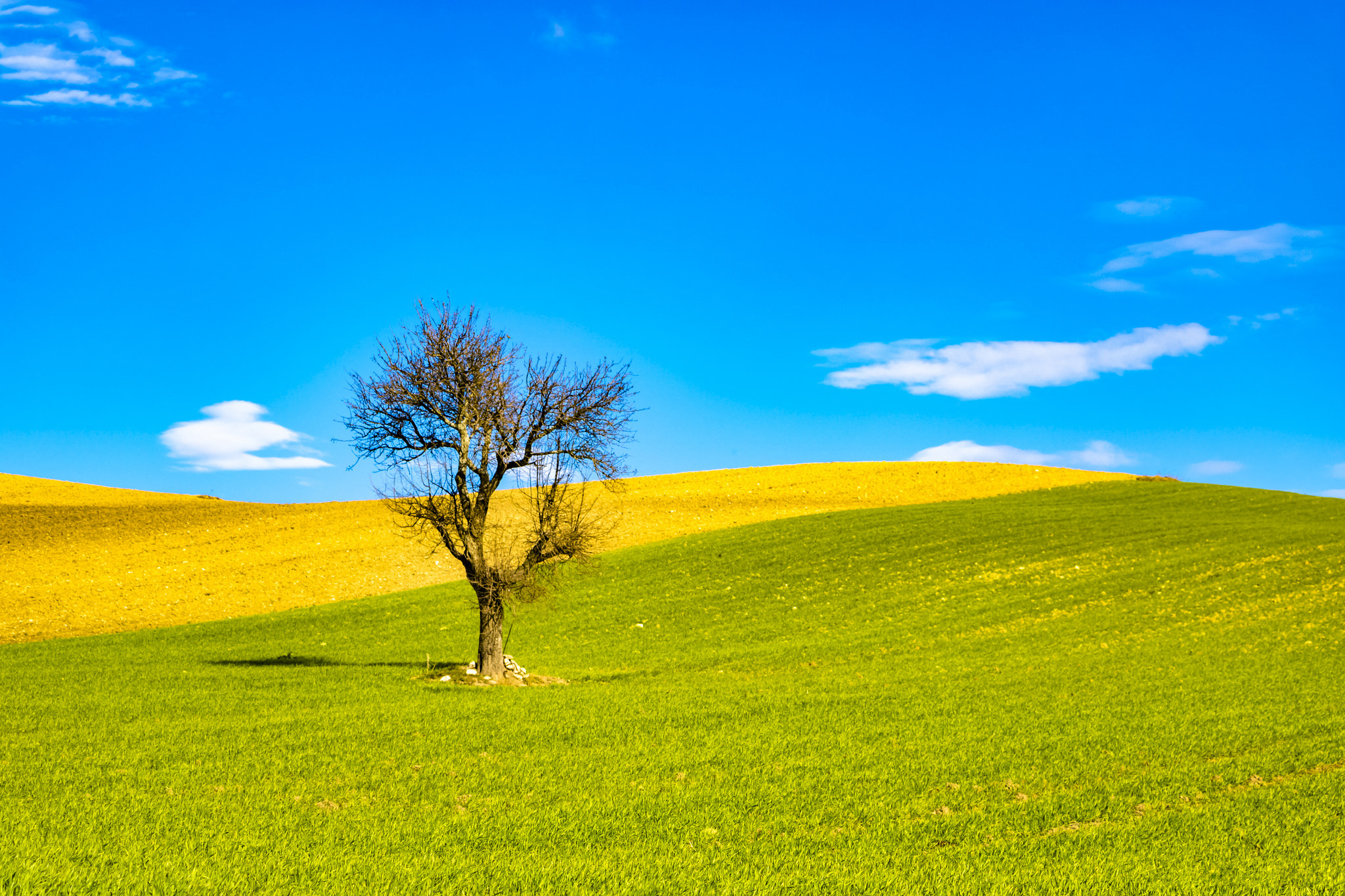 Обои небо, облака, холмы, природа, дерево, поле, италия, the sky, clouds, hills, nature, tree, field, italy разрешение 2048x1365 Загрузить