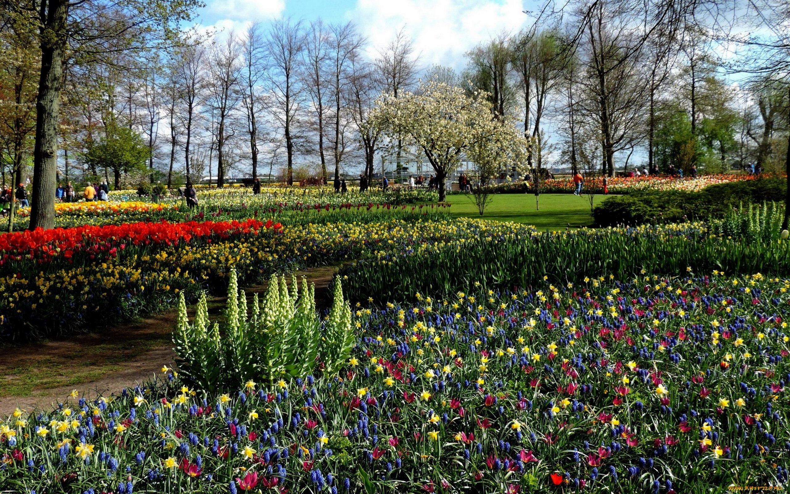 Нидерланды весной