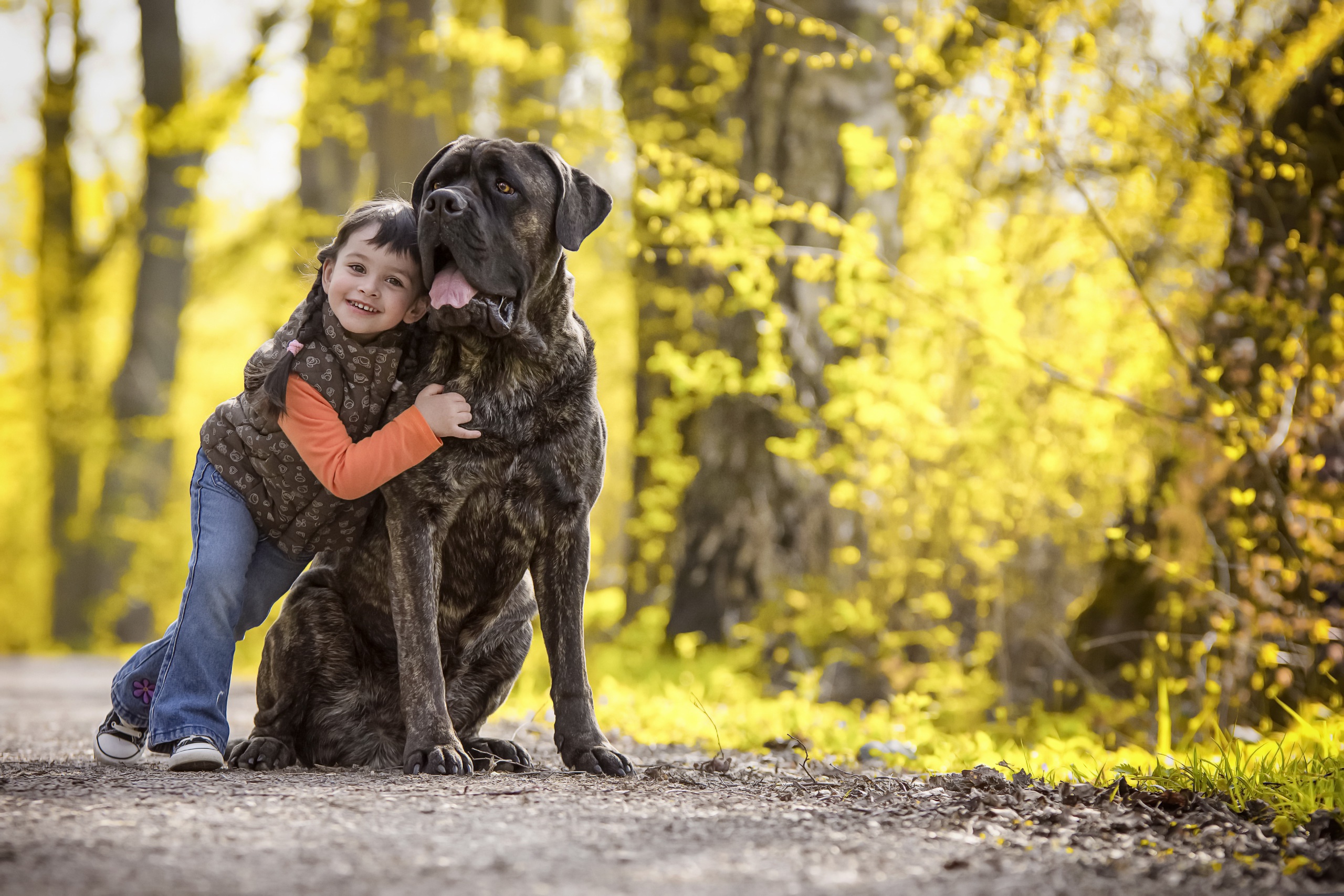Девочка 12 лет с собакой. Кане Корсо. Девочка с собакой. Фотосессия с собакой. Девушка с собакой фотосессия.