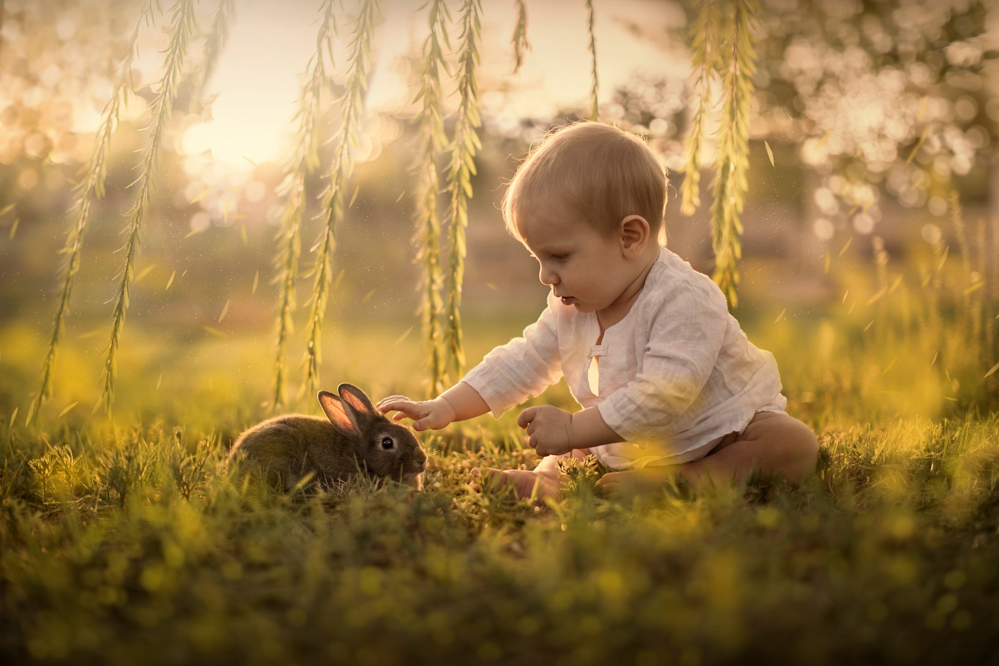 Обои трава, sveta butko, природа, ветки, дети, ребенок, кролик, животное, малыш, grass, nature, branches, children, child, rabbit, animal, baby разрешение 2048x1365 Загрузить