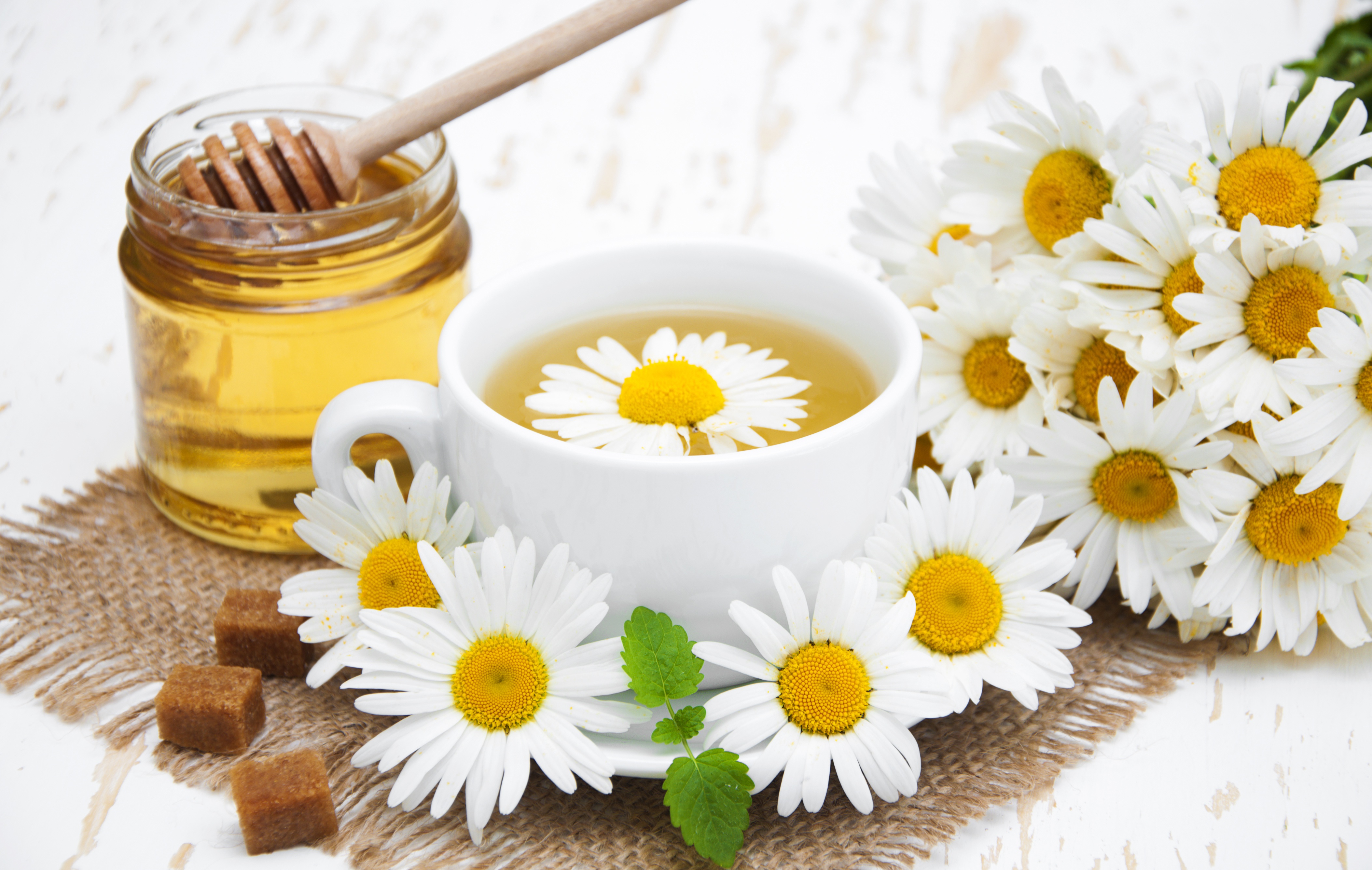 Ромашковый чай для организма. Чай "Ромашка". Ромашковый чай. Чай с ромашкой и медом. Мед и цветы.
