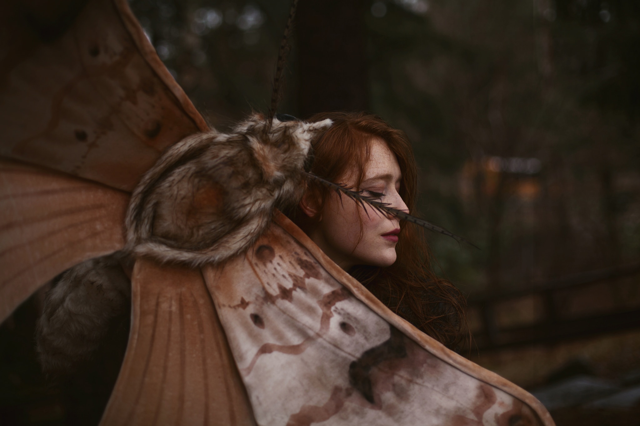 Обои девушка, рыжеволосая, закрытые глаза, aleah michele, words and moths, огромный мотылёк, girl, redhead, closed eyes, a giant moth разрешение 2048x1365 Загрузить