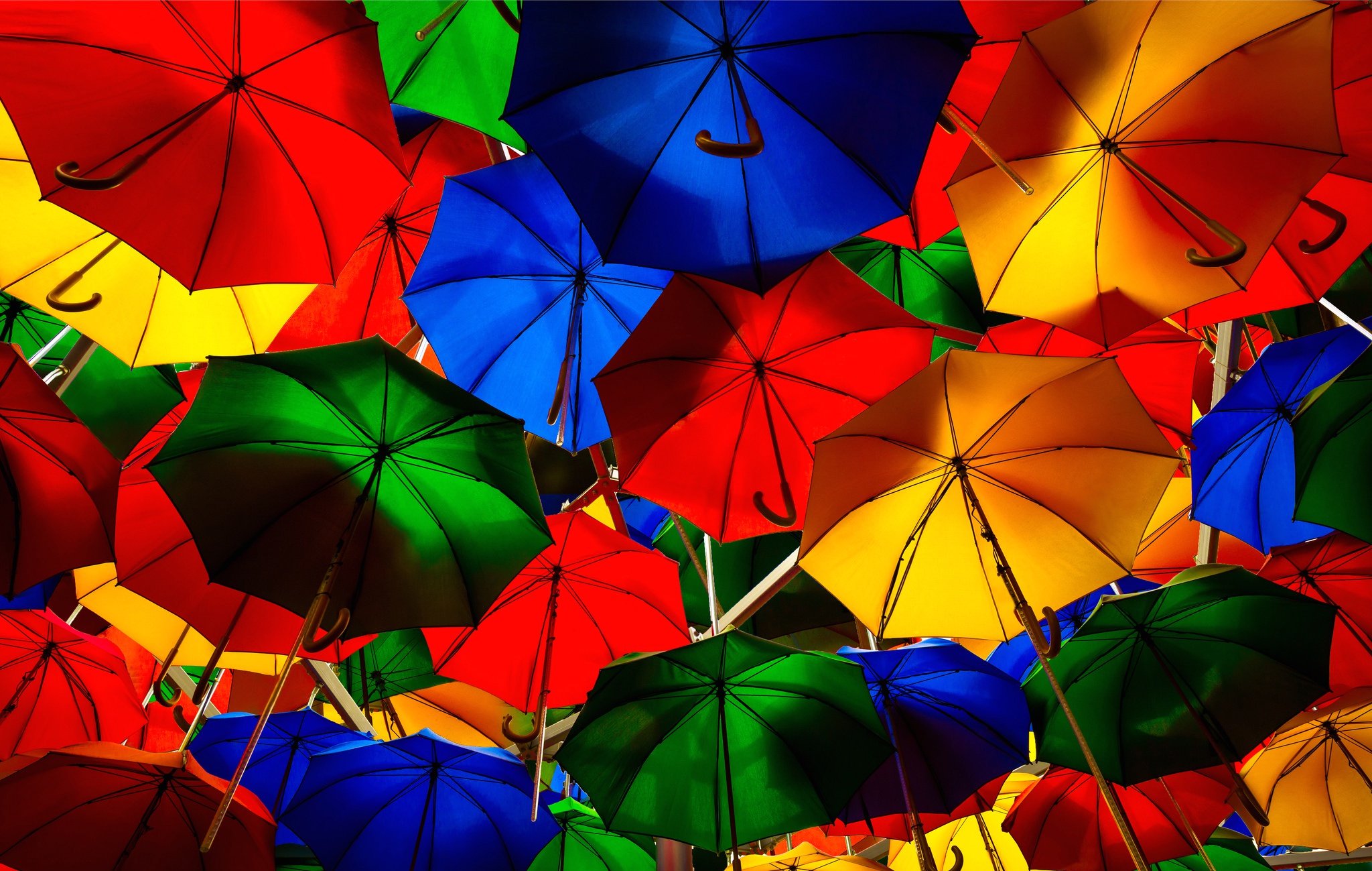 разноцветные зонтики бесплатно