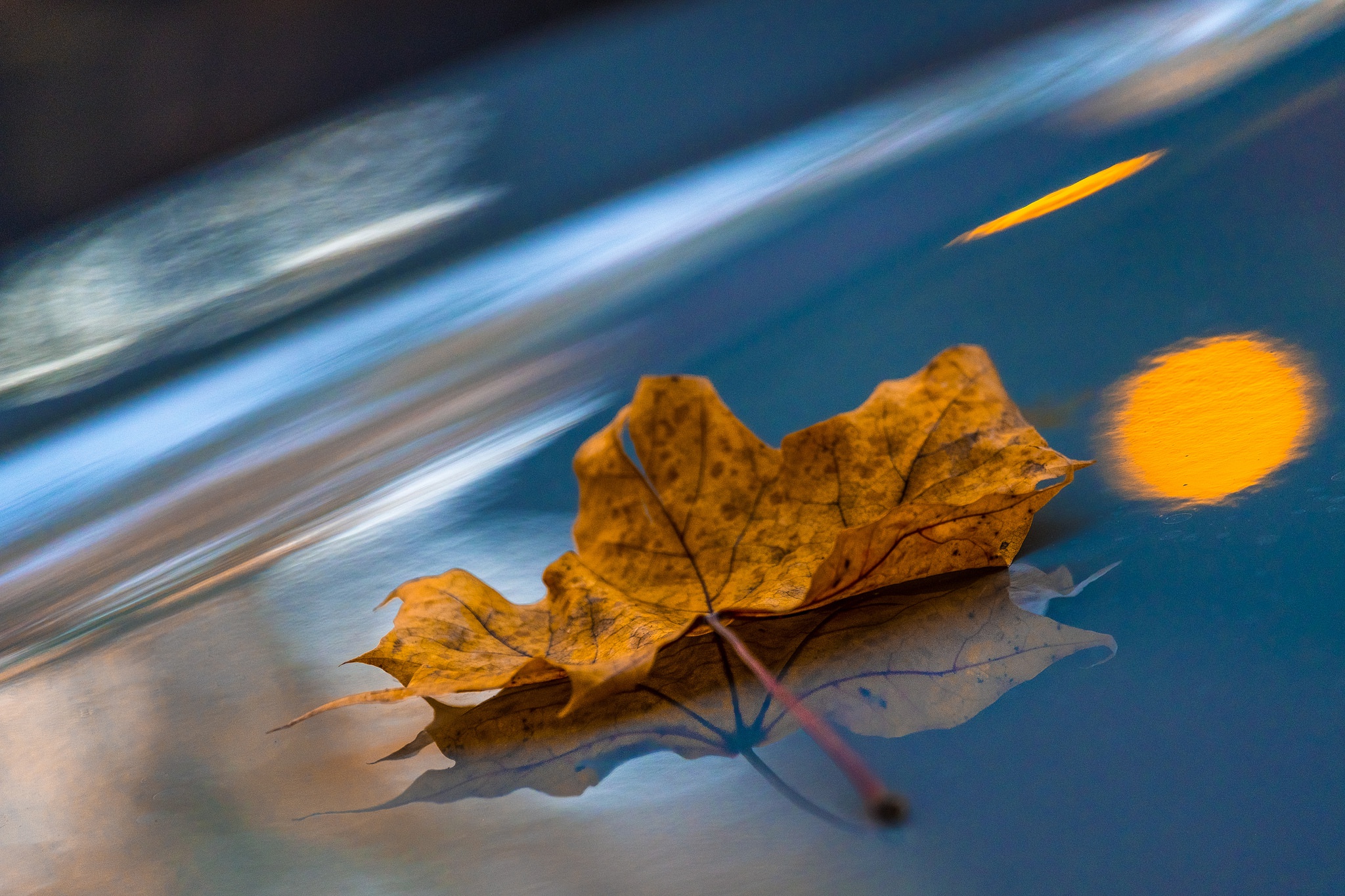 Обои макро, отражение, осень, лист, кленовый лист, macro, reflection, autumn, sheet, maple leaf разрешение 2048x1365 Загрузить