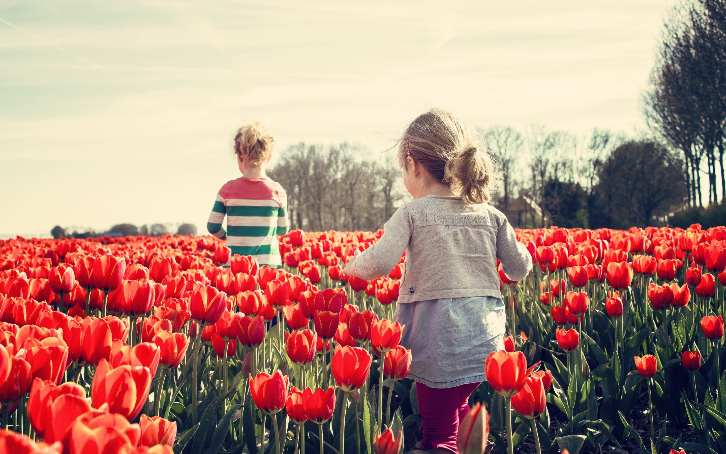 Обои цветы, настроение, дети, весна, тюльпаны, девочки, flowers, mood, children, spring, tulips, girls разрешение 2880x1800 Загрузить