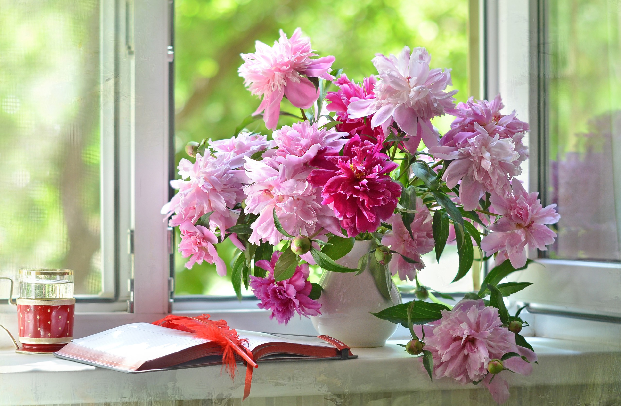 Цветы на окне в вазе скачать
