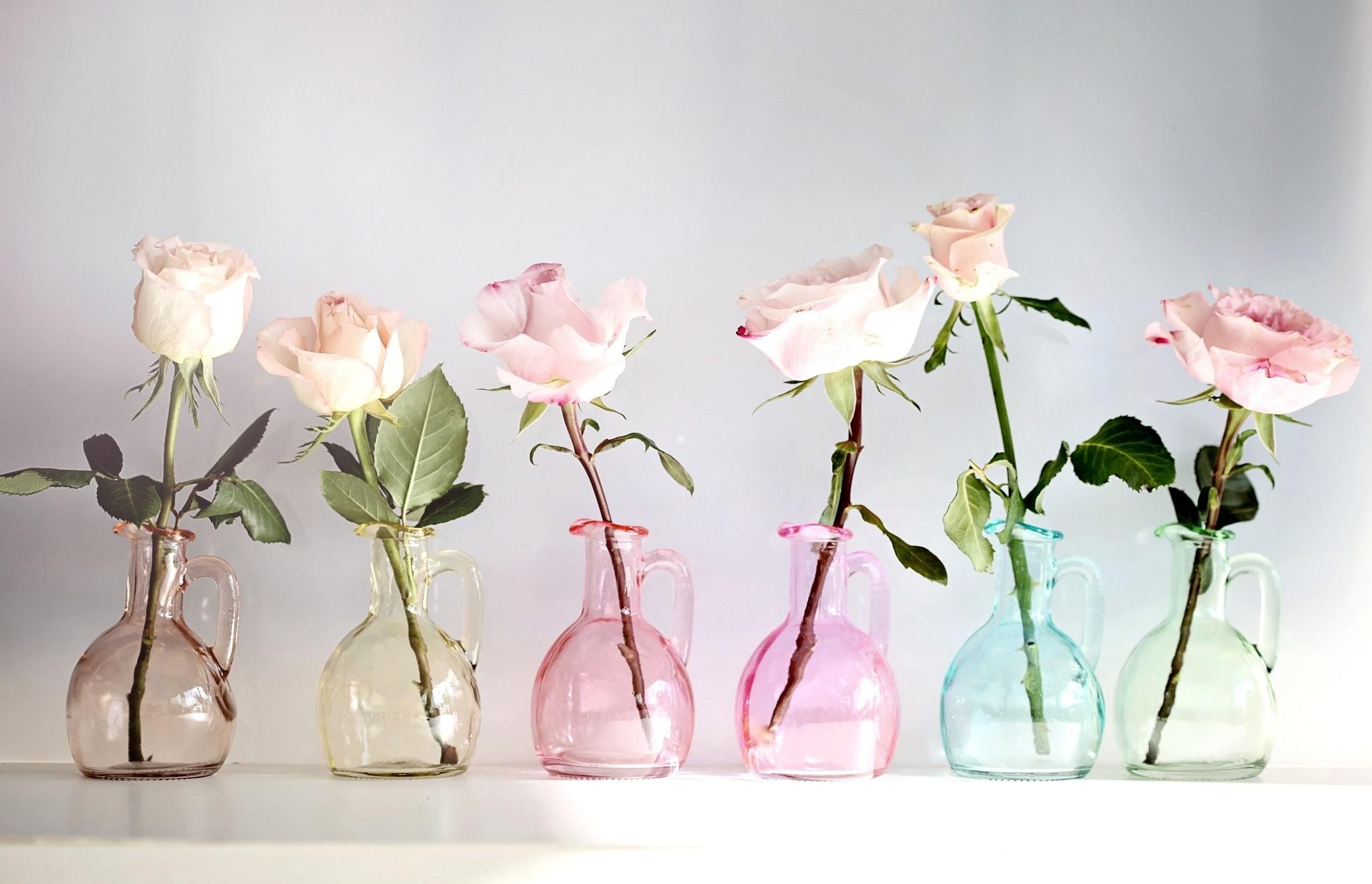 Обои цветы, розы, разноцветные, стекло, вазы, кувшины, flowers, roses, colorful, glass, vases, pitchers разрешение 2048x1319 Загрузить