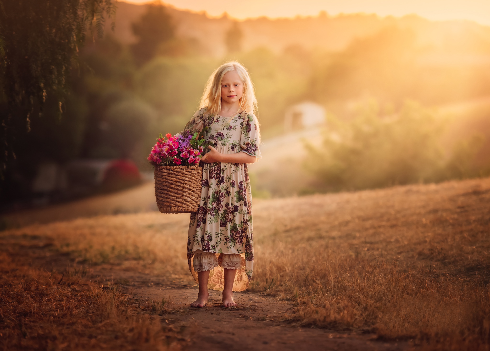 Девочка с корзинкой цветов бесплатно