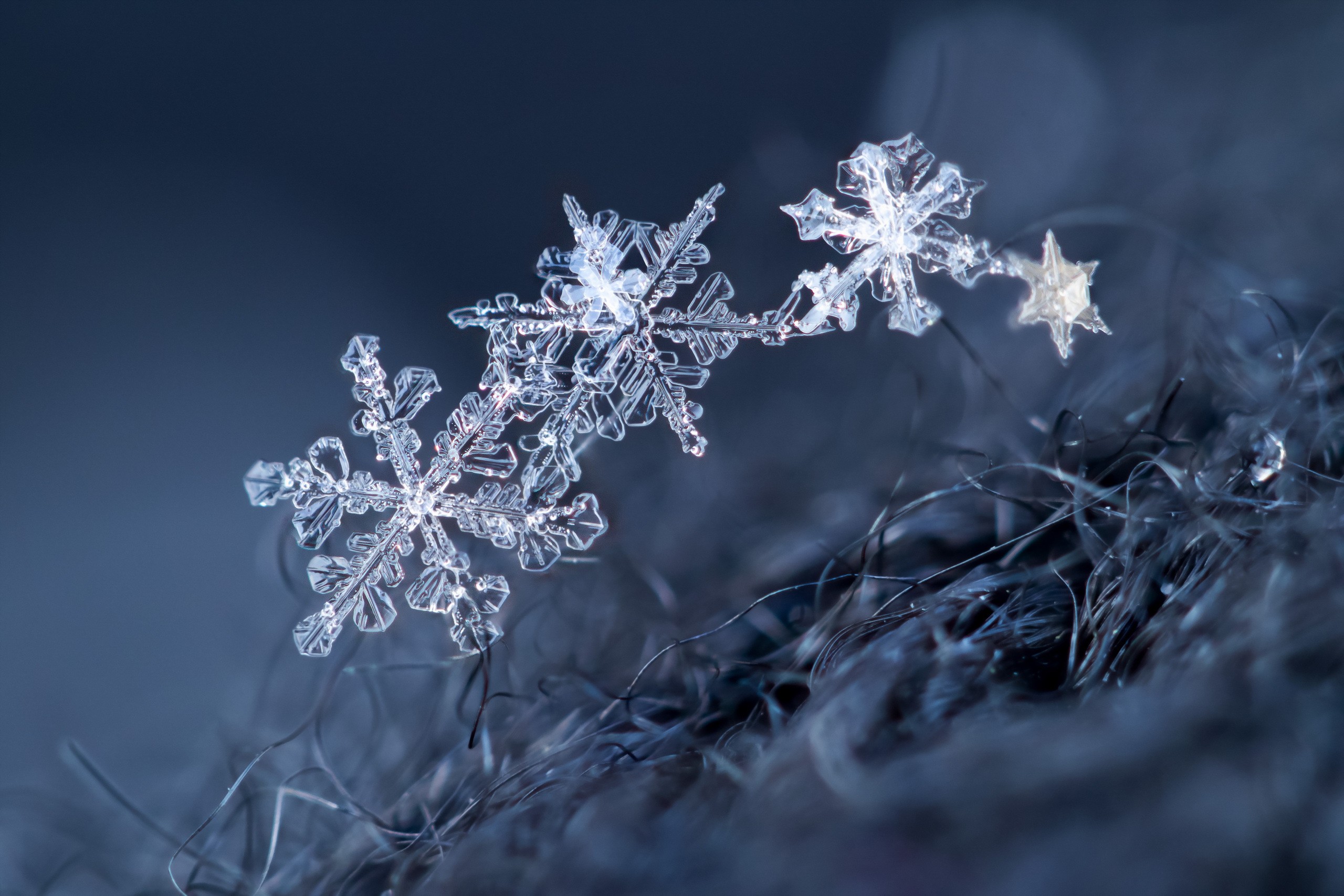 Обои макро, снежинки, фон, снежинка, кристаллы, macro, snowflakes, background, snowflake, crystals разрешение 2560x1707 Загрузить