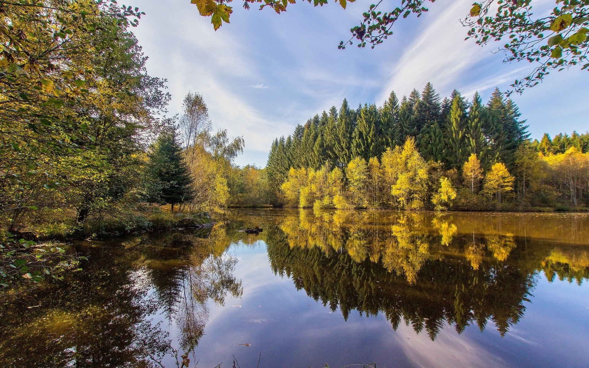 Обои небо, озеро, река, лес, the sky, lake, river, forest разрешение 1920x1200 Загрузить