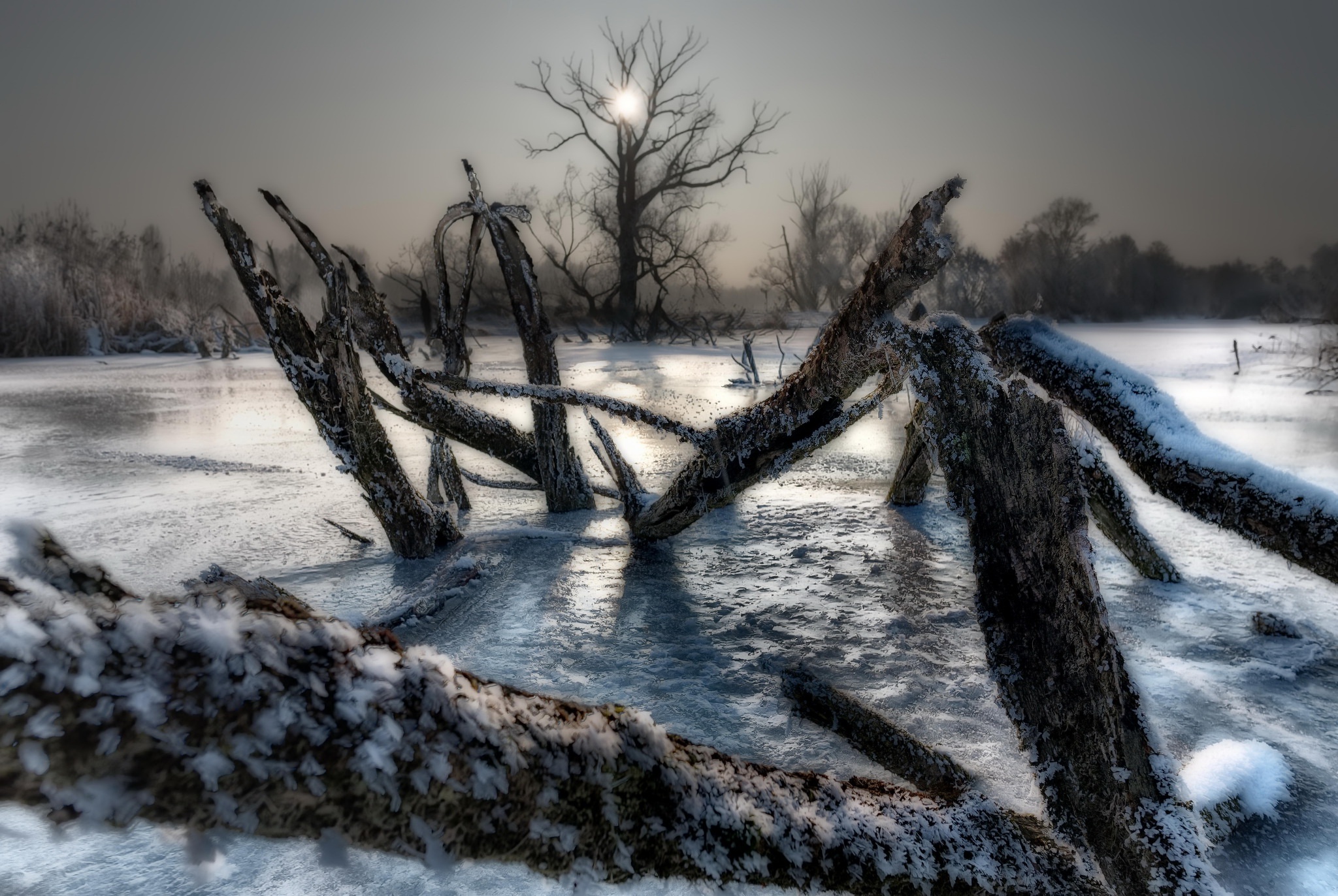 Обои деревья, озеро, зима, лёд, холод, trees, lake, winter, ice, cold разрешение 2048x1372 Загрузить