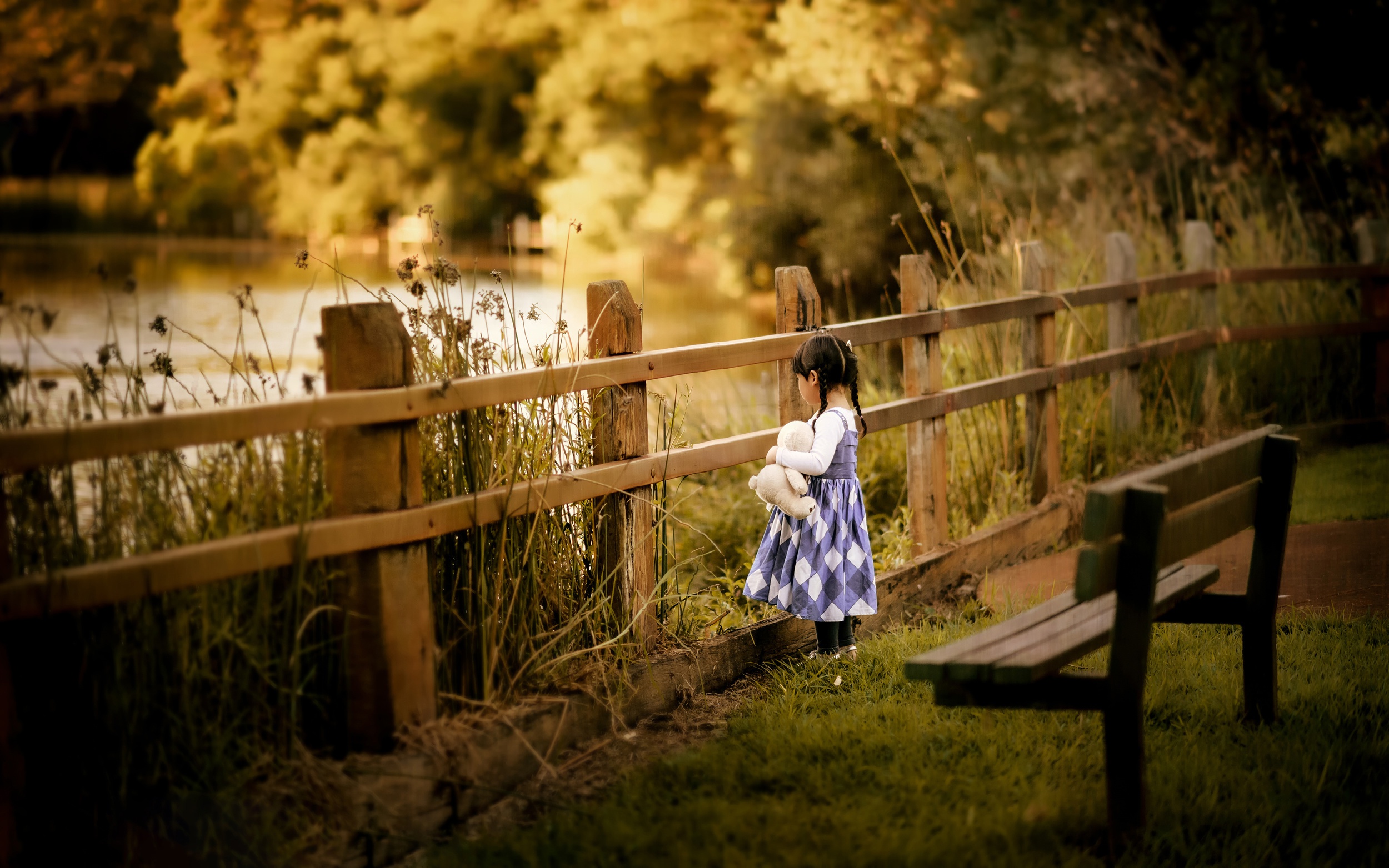 Обои природа, забор, дети, девочка, игрушка, скамейка, ребенок, косички, nature, the fence, children, girl, toy, bench, child, braids разрешение 2500x1563 Загрузить