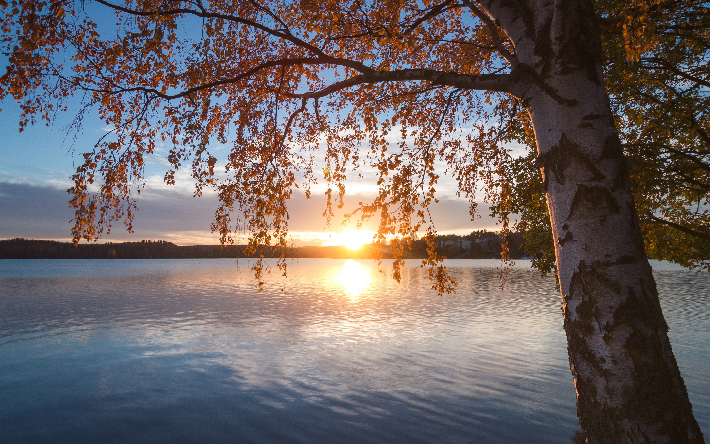 Обои озеро, природа, дерево, закат, пейзаж, осень, lake, nature, tree, sunset, landscape, autumn разрешение 2880x1800 Загрузить