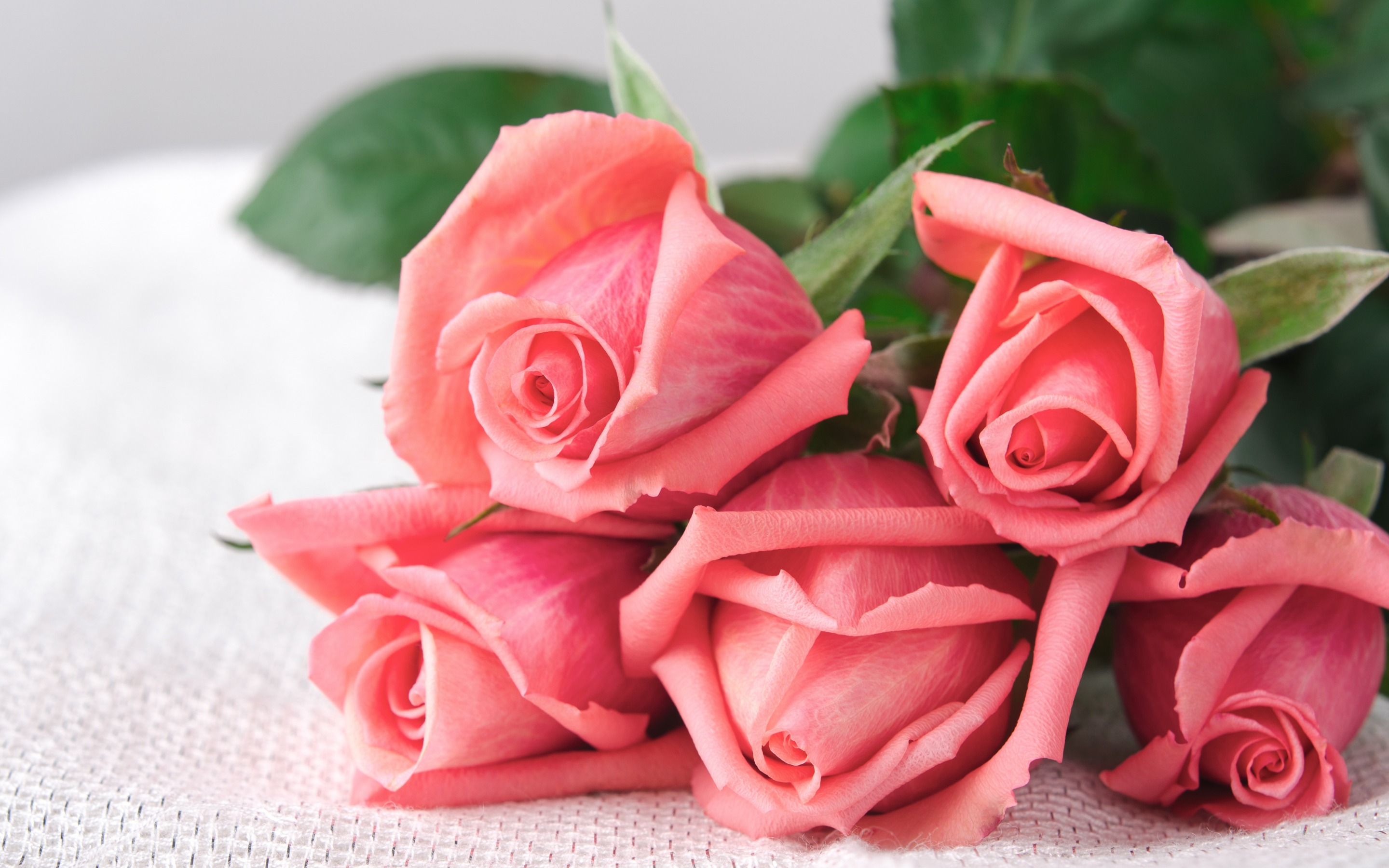 Обои цветы, бутоны, розы, лепестки, букет, розовые розы, flowers, buds, roses, petals, bouquet, pink roses разрешение 2880x1800 Загрузить