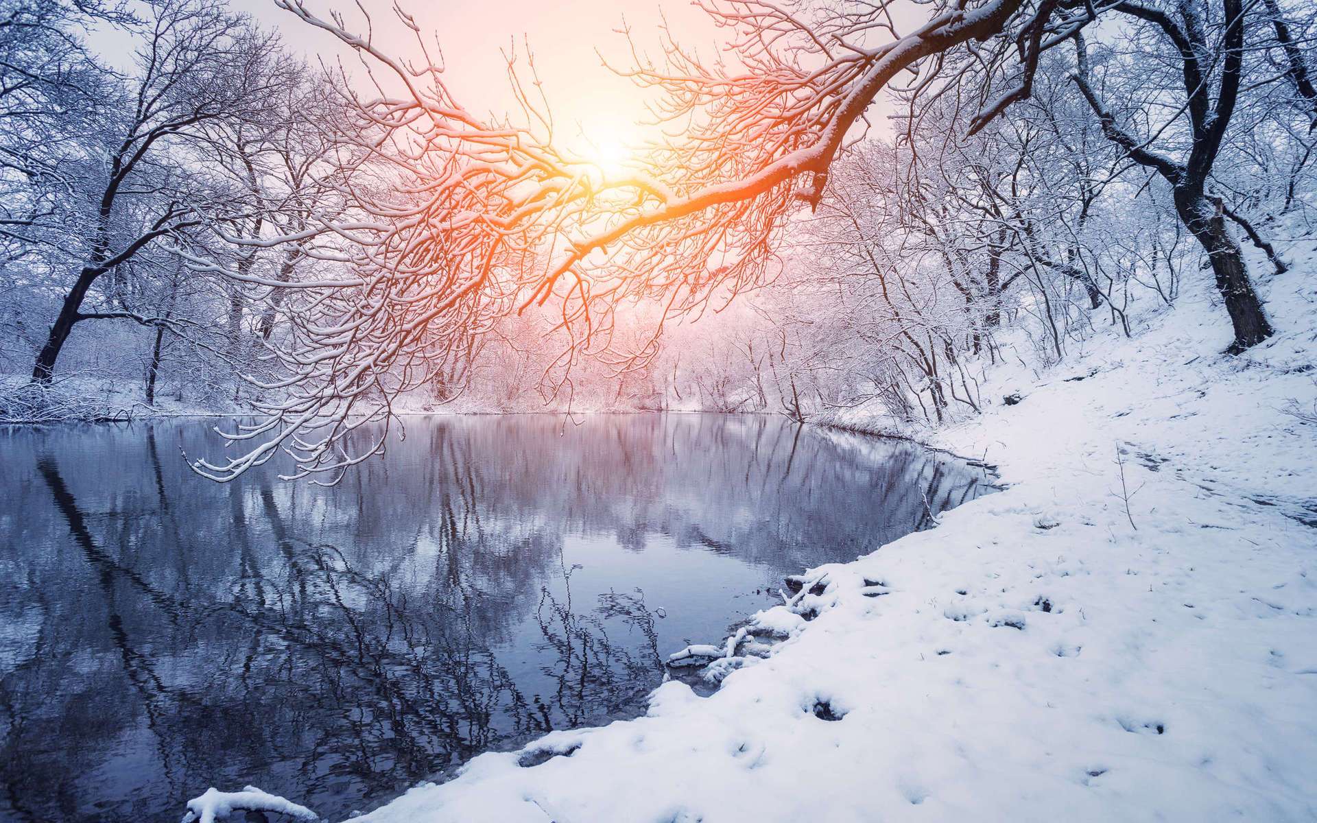 Обои деревья, река, снег, закат, зима, отражение, ветки, trees, river, snow, sunset, winter, reflection, branches разрешение 1920x1200 Загрузить